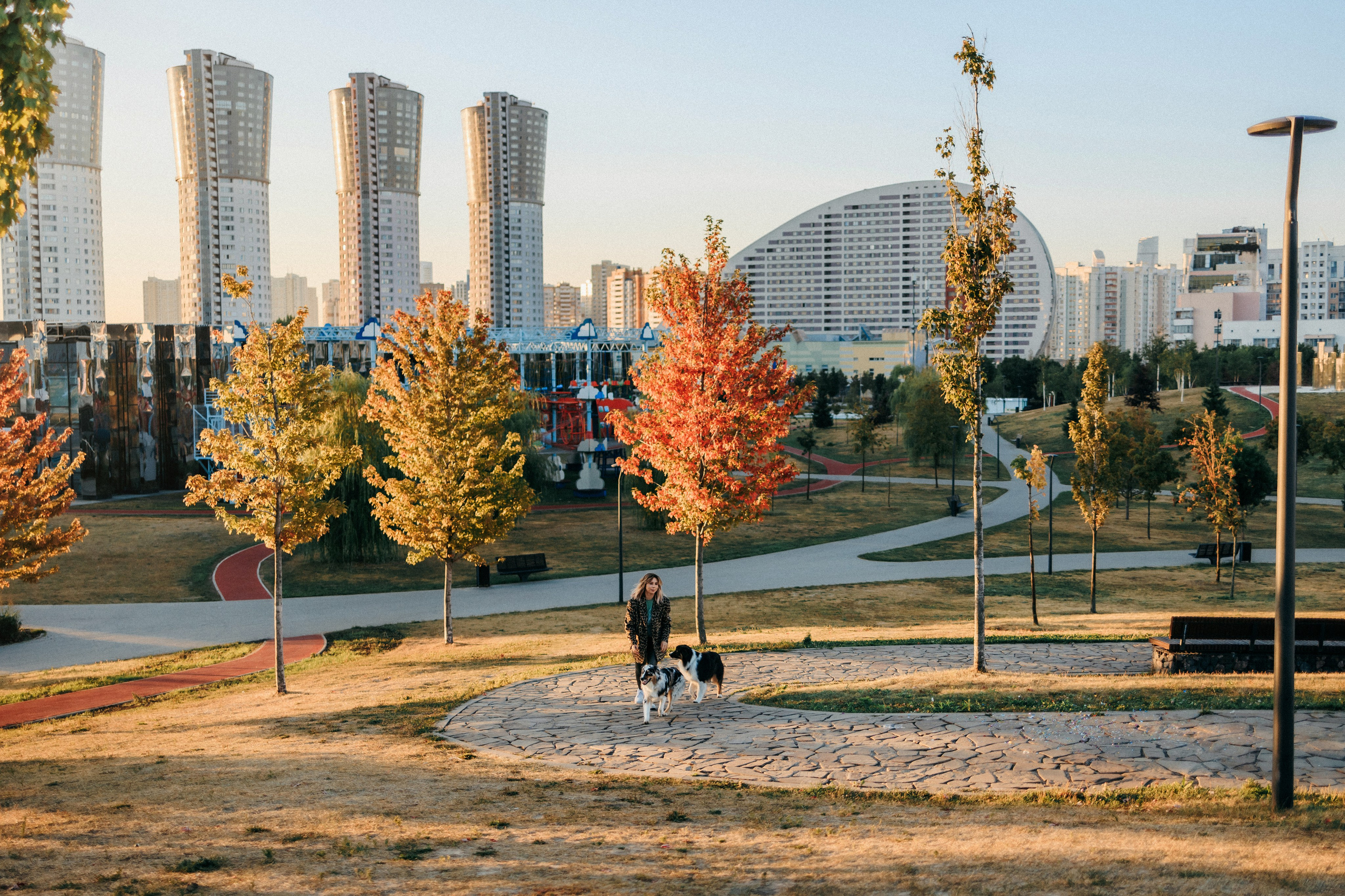Аня, Чарли и Ева. Фотограф-анималист Елена Радченко, Москва