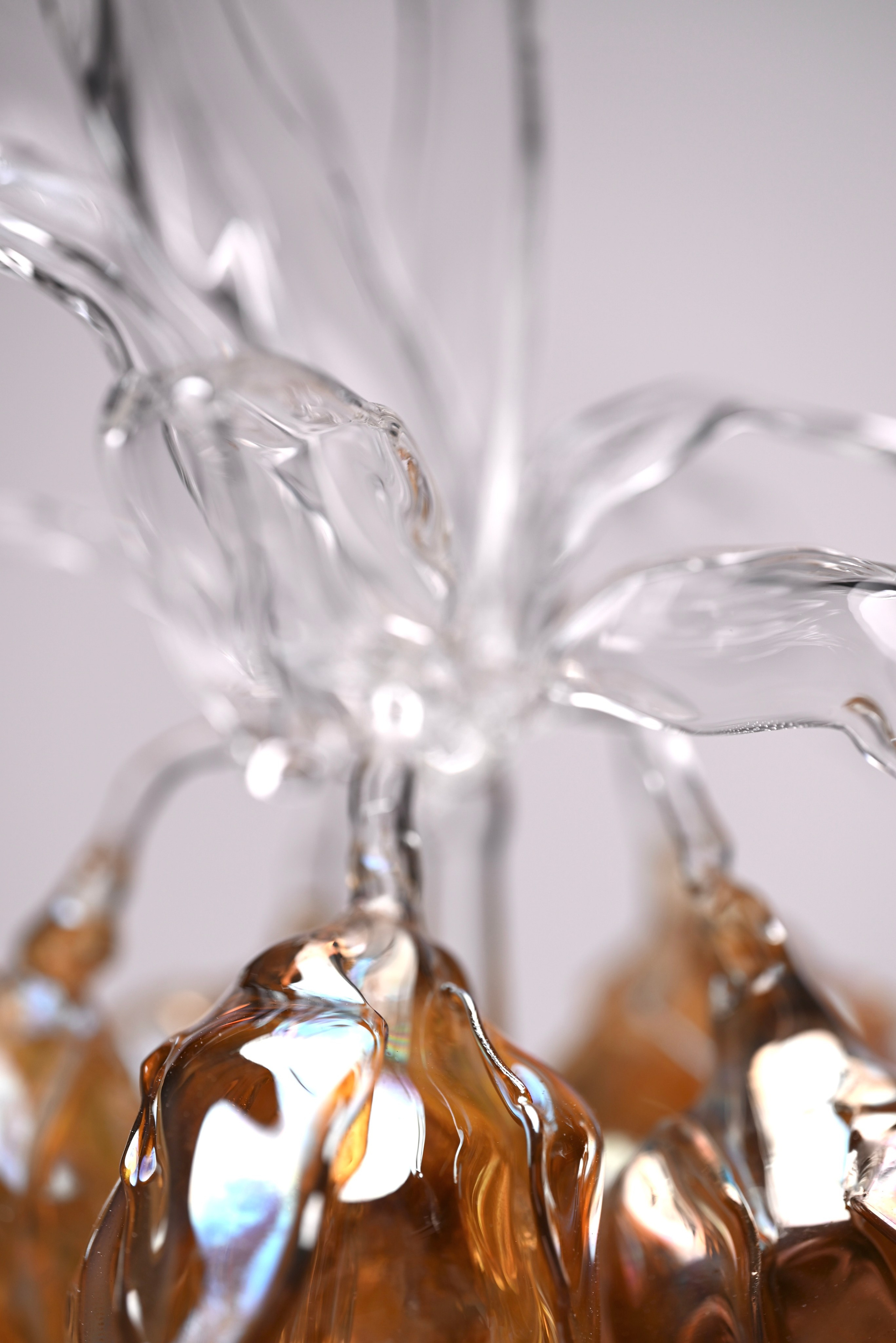 Рябчик императорский. Home