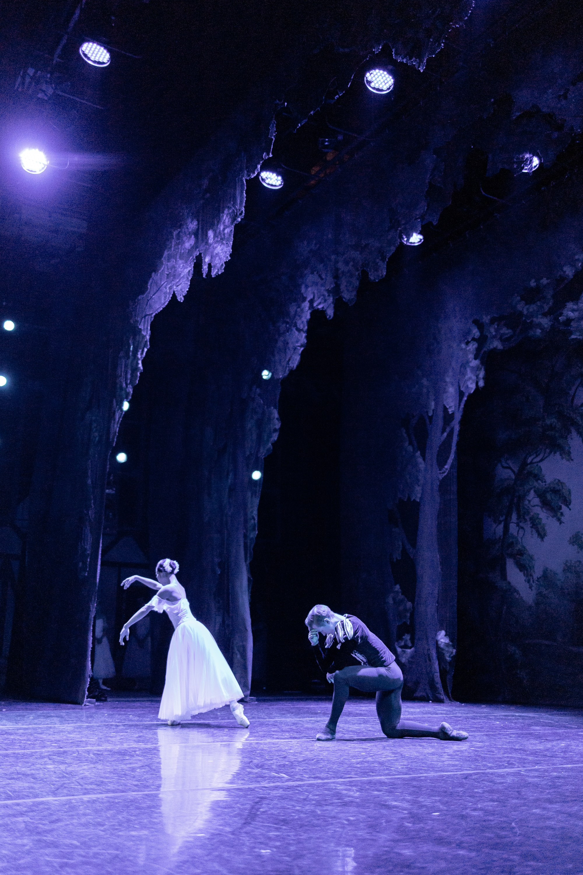 Концерты. Семейный фотограф в Абакане Любовь Халявина