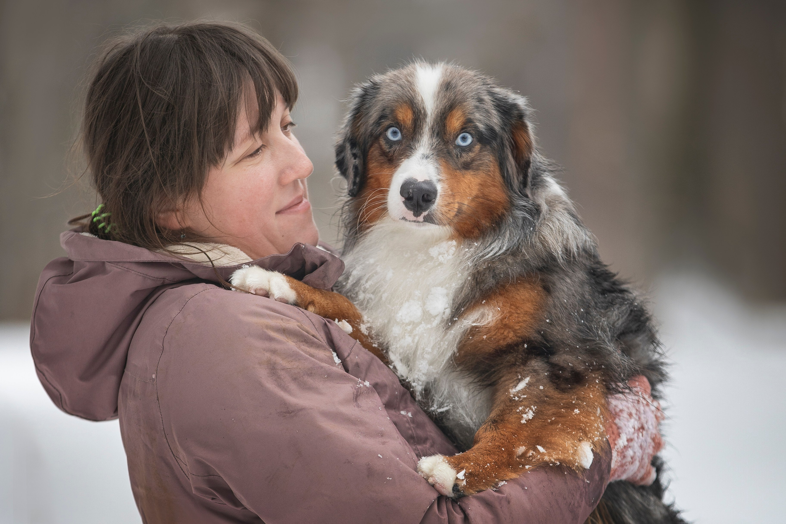 Дария, Макс, Сезам и Чили. Фотограф анималист в Москве Майорова Евгения