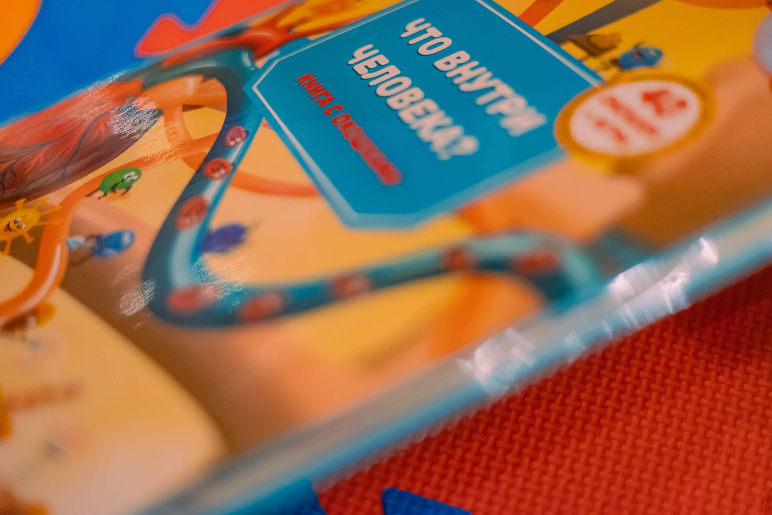 День Рождение Анны. Детский и семейный фотограф Евгения Вахнеева Москва Зеленоград