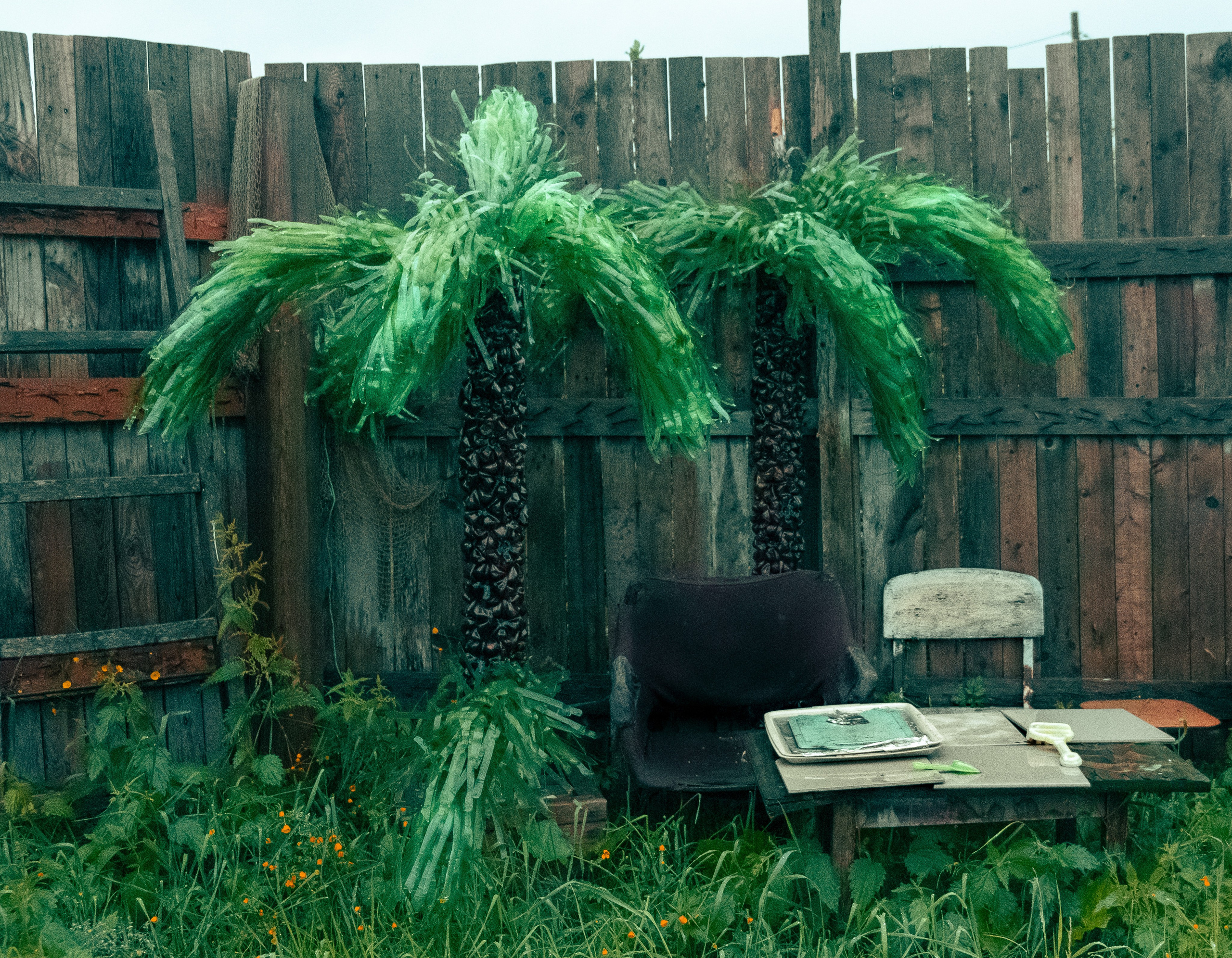 Form. Коллекция