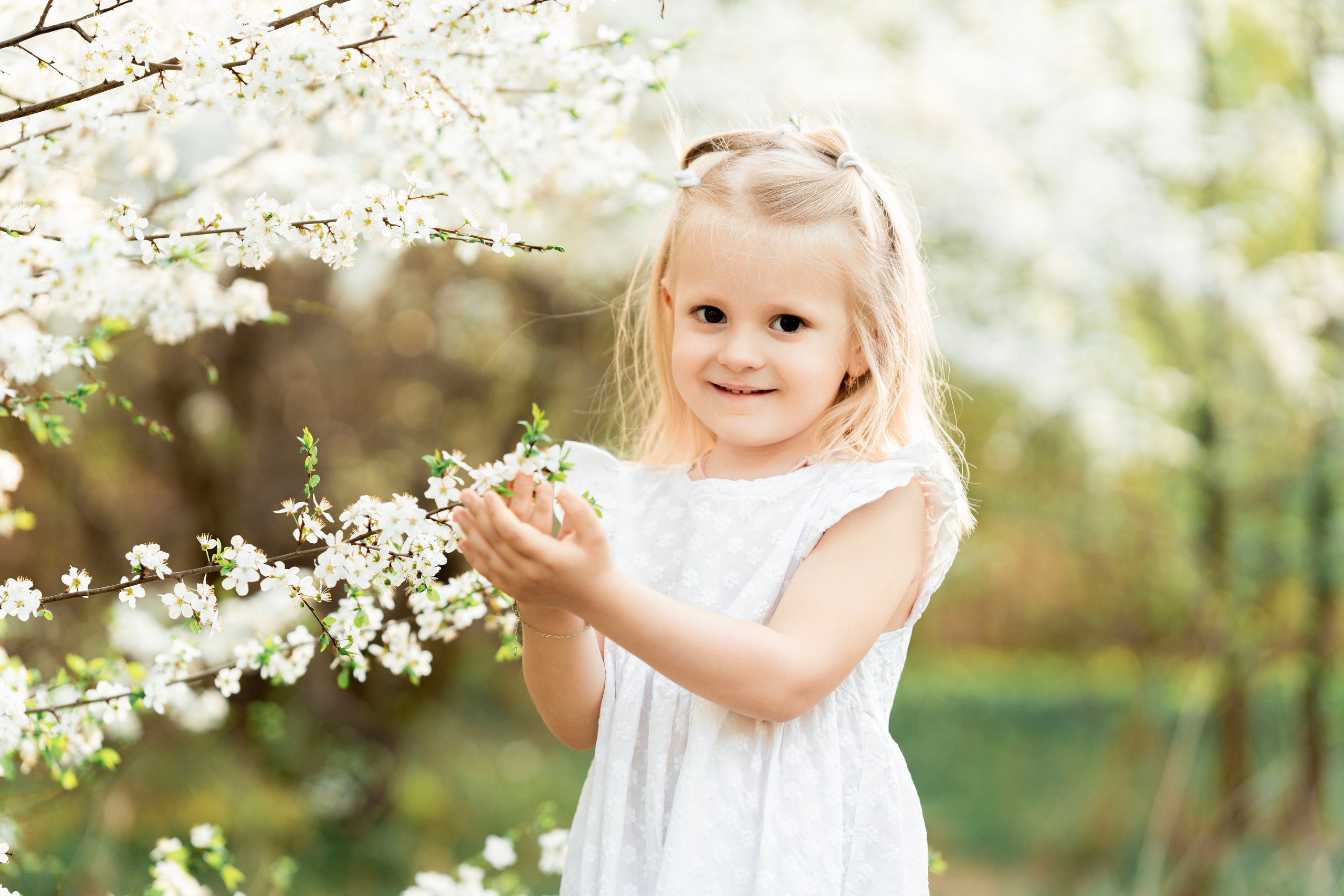 Цветение. Фотограф Юлия Попова