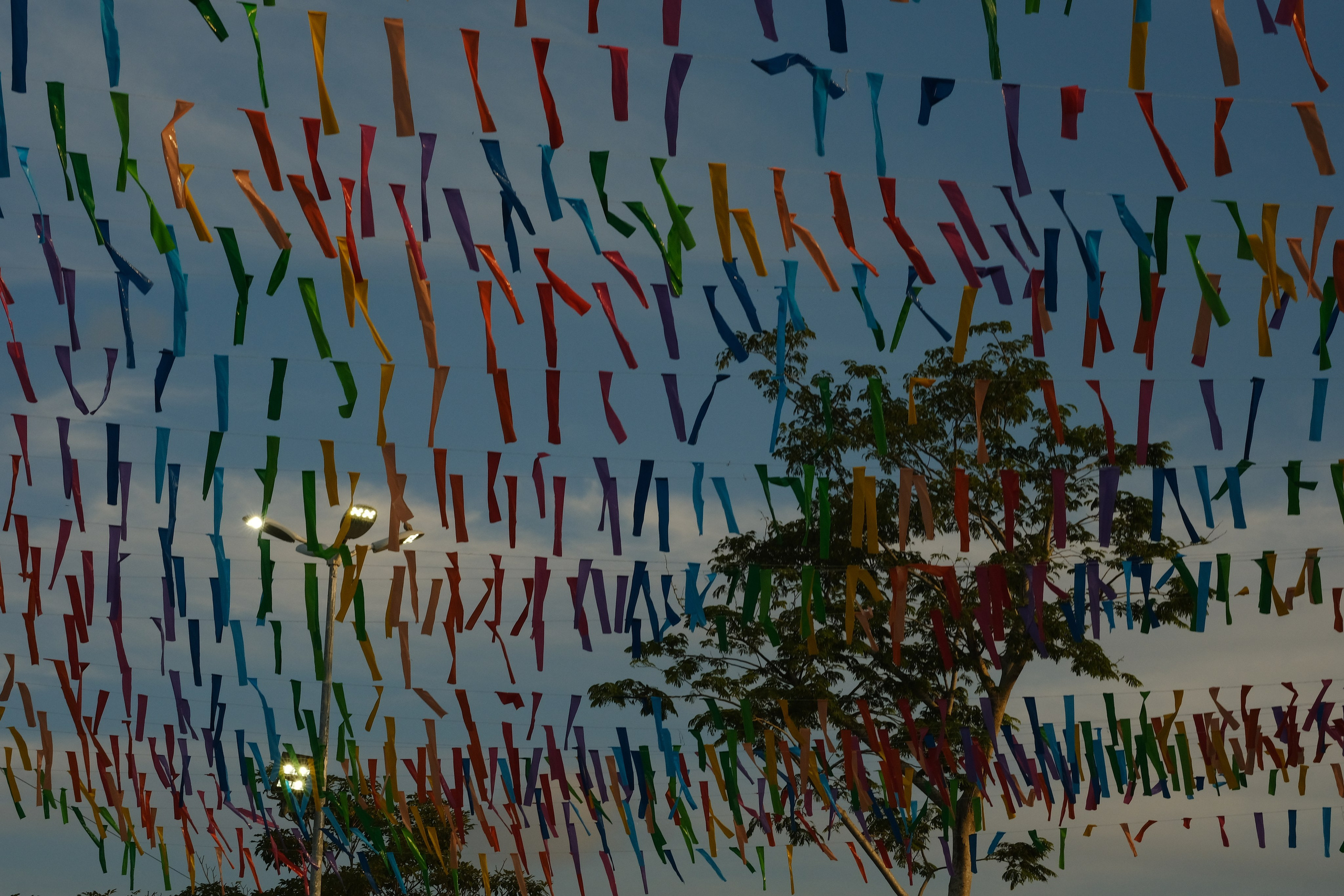 Documentary. Margarita Rodionova — a contemporary lens-based artist currently working in Cancun, Mexico