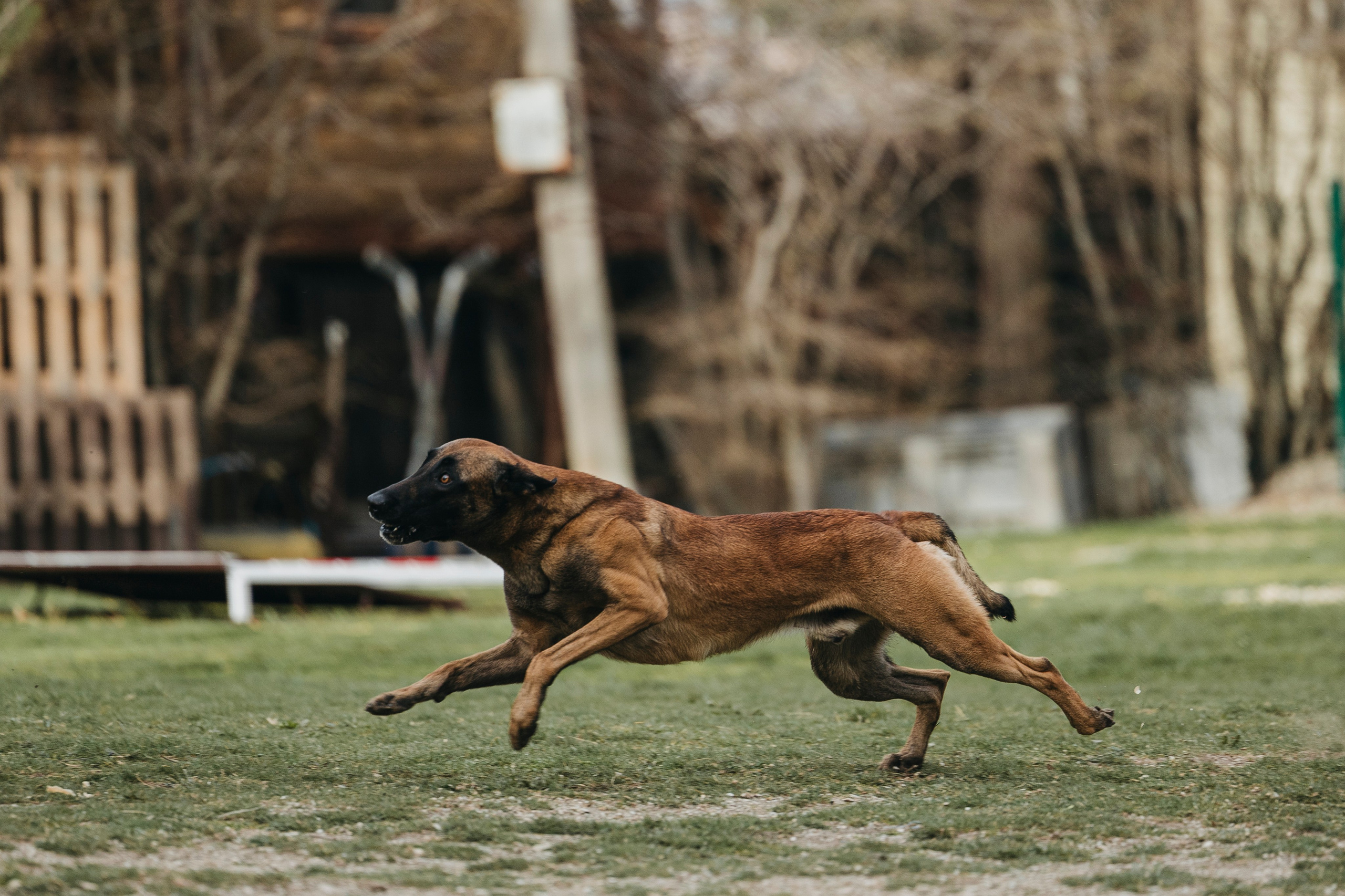 Геленджик Мондьоринг. Фотограф-анималист Анна Маринич