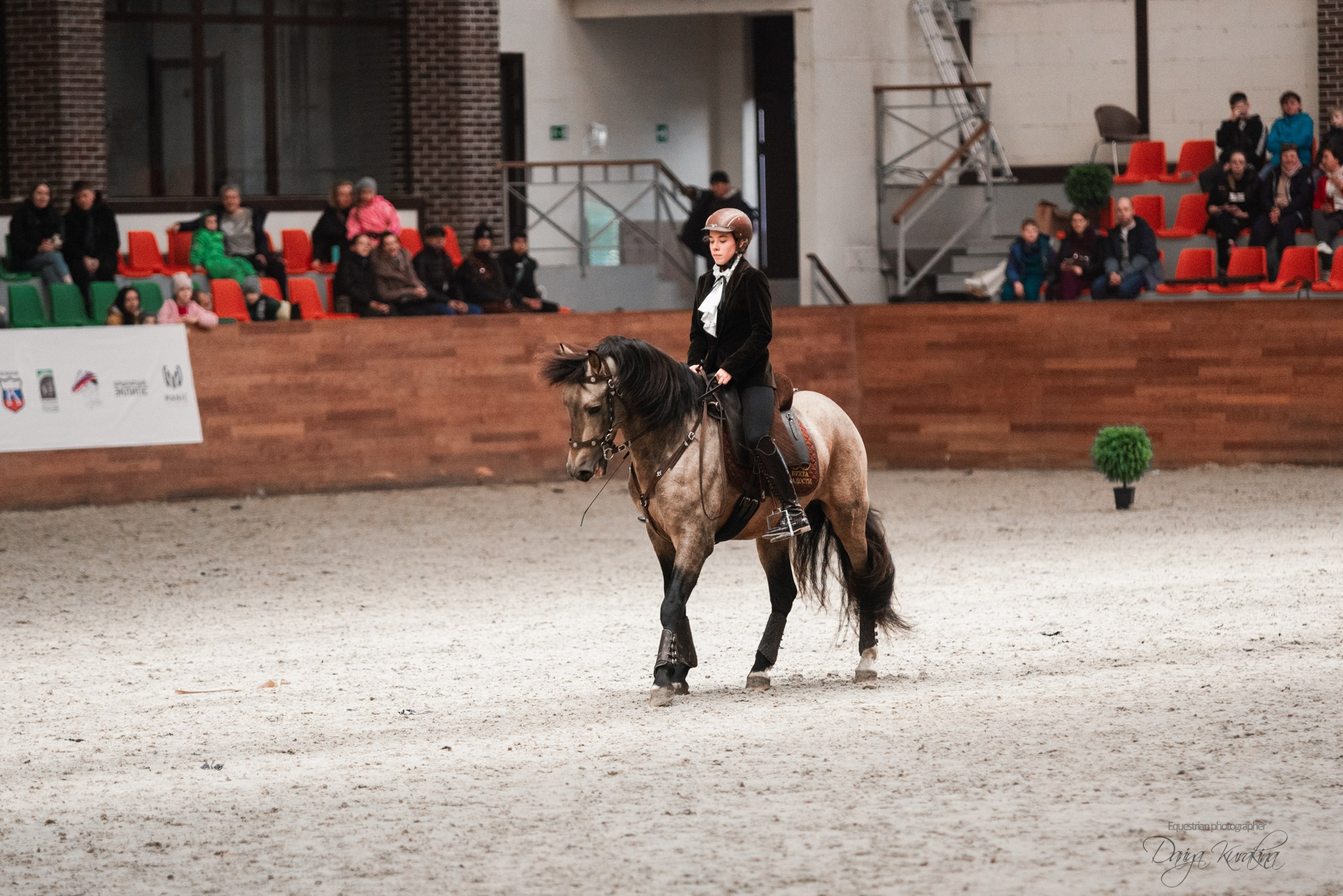 8-я международная выставка Конная Россия. Конный фотограф Куракина Дарья • Фотосессии с лошадьми