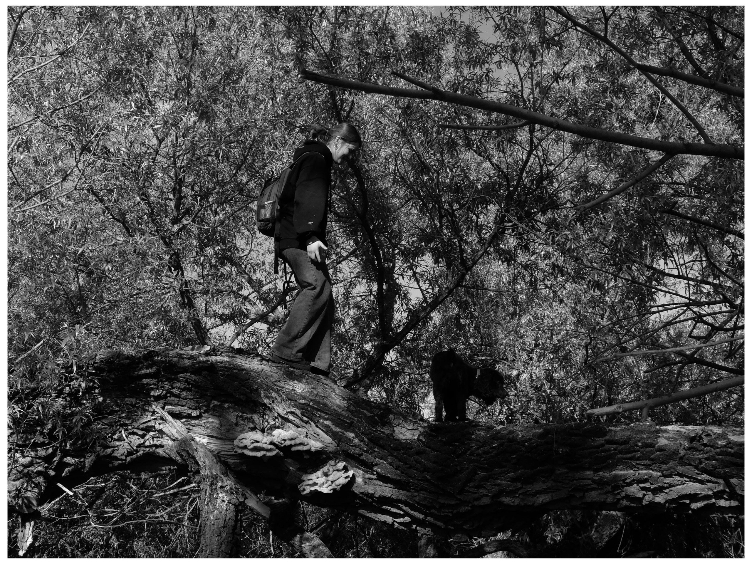 Промежуточные моменты (2022)