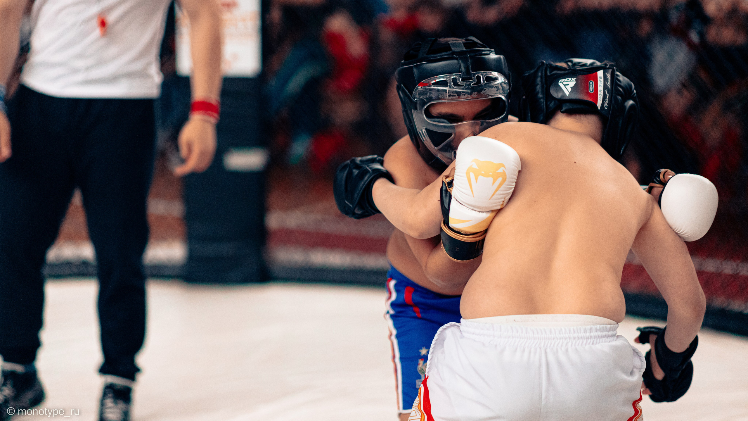 MMA. Бойцовский турнир