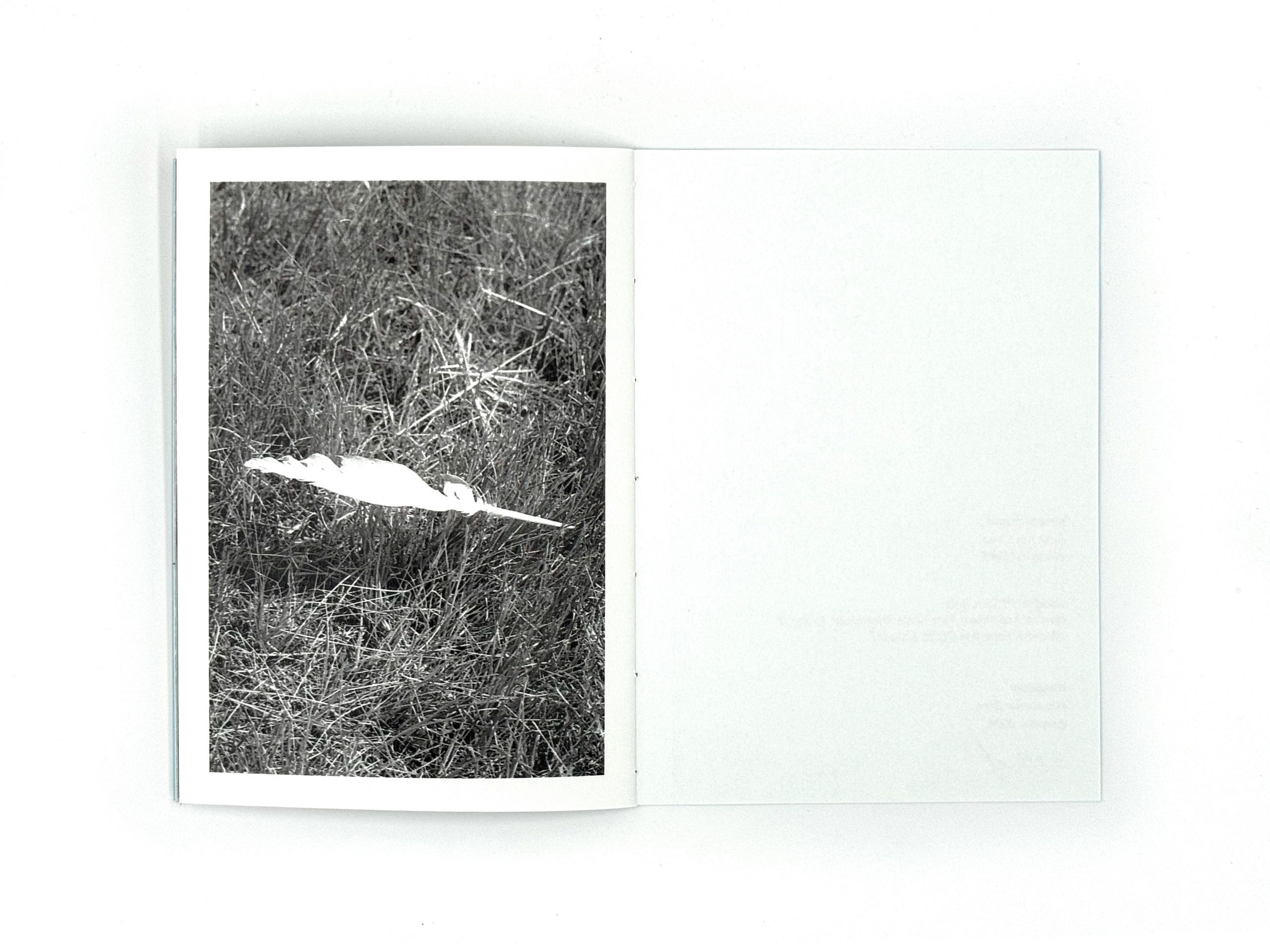 Начало дождя. Лера Круглова