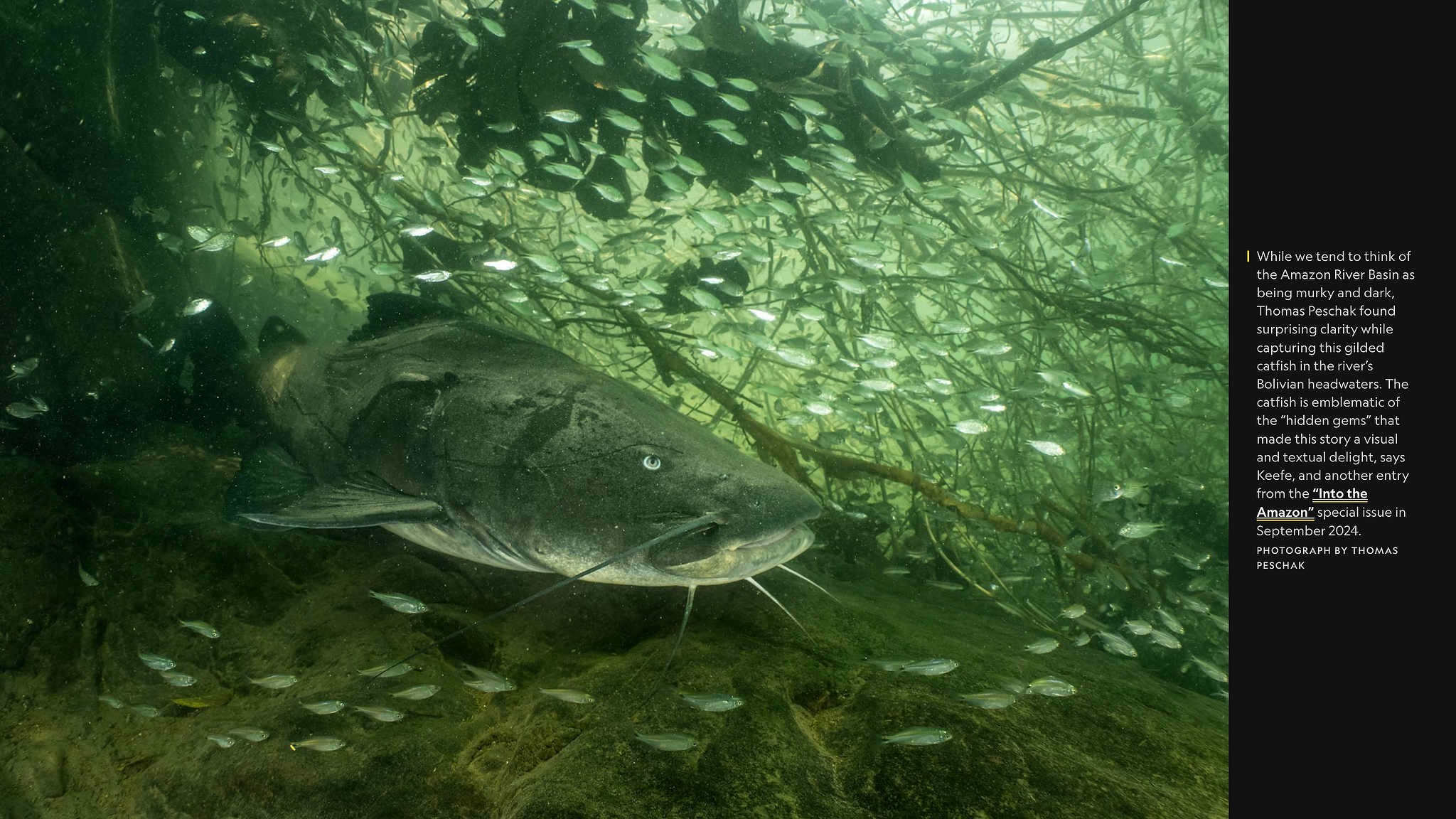 2024 год в объективе фотографов National Geographic. Фотограф Михаил Мордасов, Сочи. Мероприятия, портреты, спорт, репортаж
