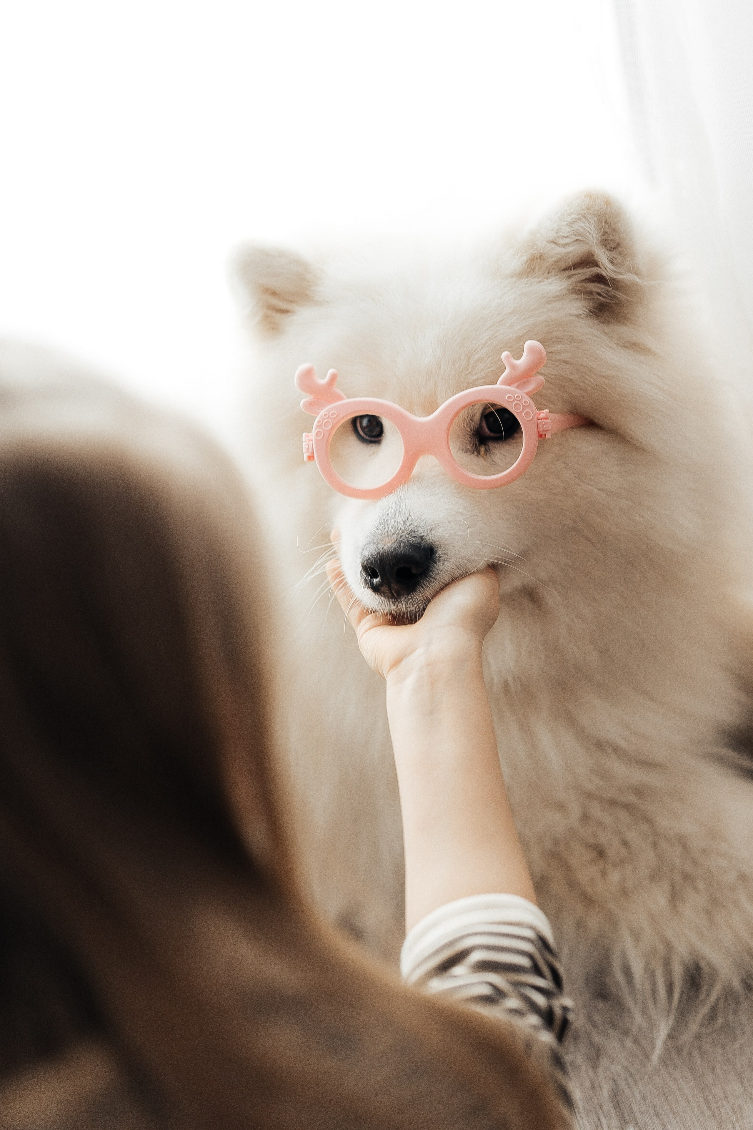 Александра и Лейсан. Фотограф Виктория Грибова г. Вологда