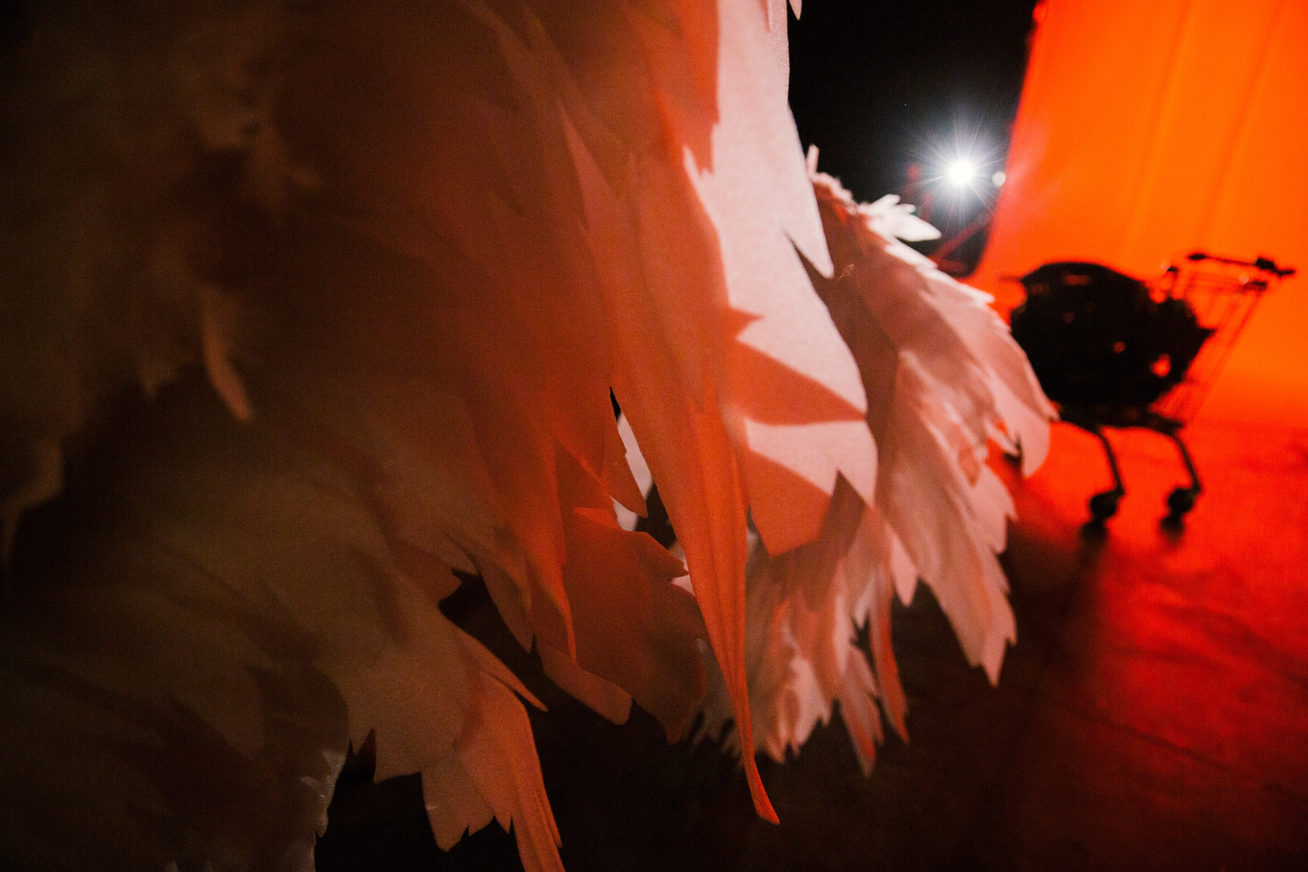 ФК Би-2 & Лиза Громова Мосфильм. Ольга Пилант. АРТ, бэкстейдж, свадебная и семейная фотография, городской портрет, интерьерная фотография