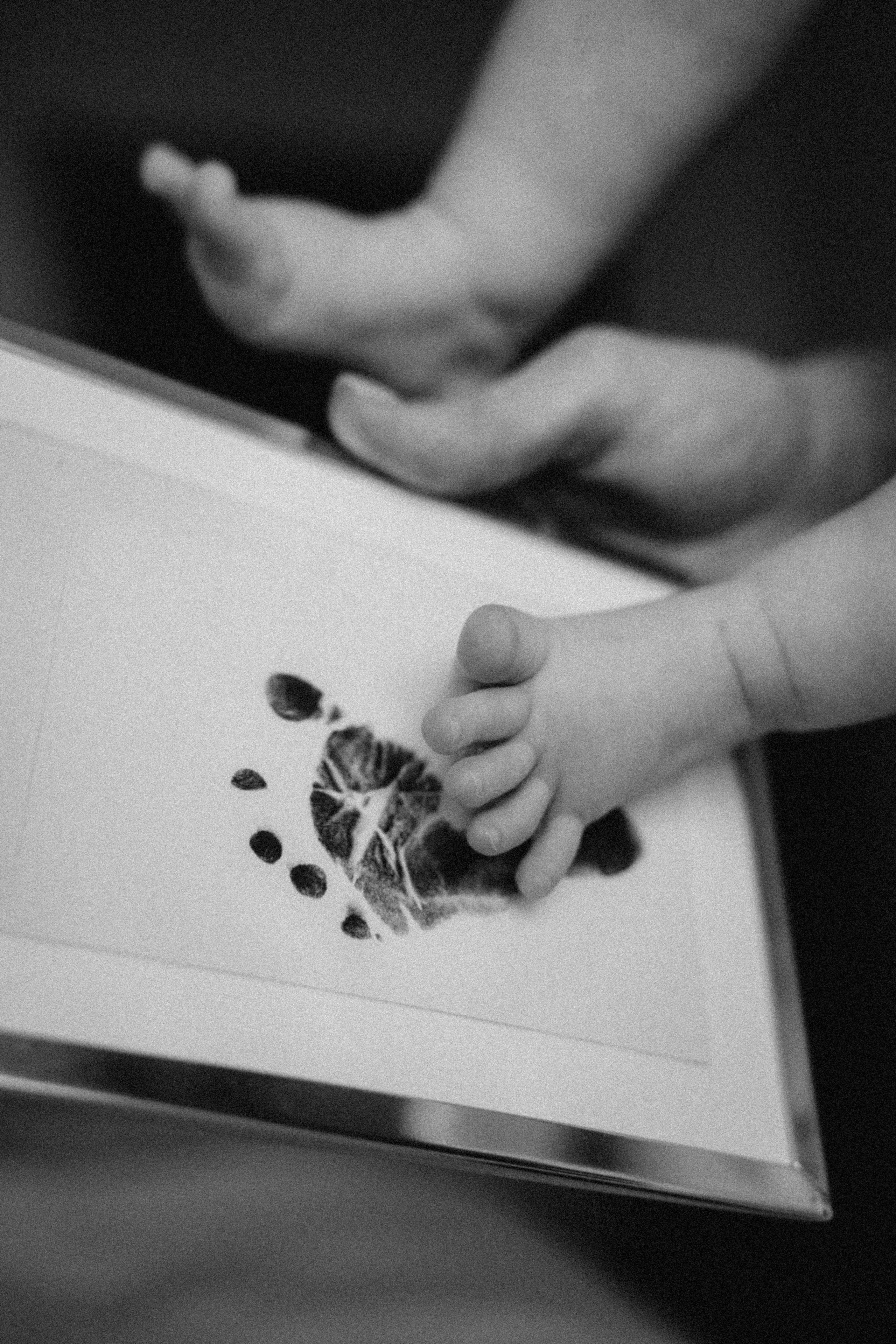 Аврора. Фотограф Москва Селюкова Юлия