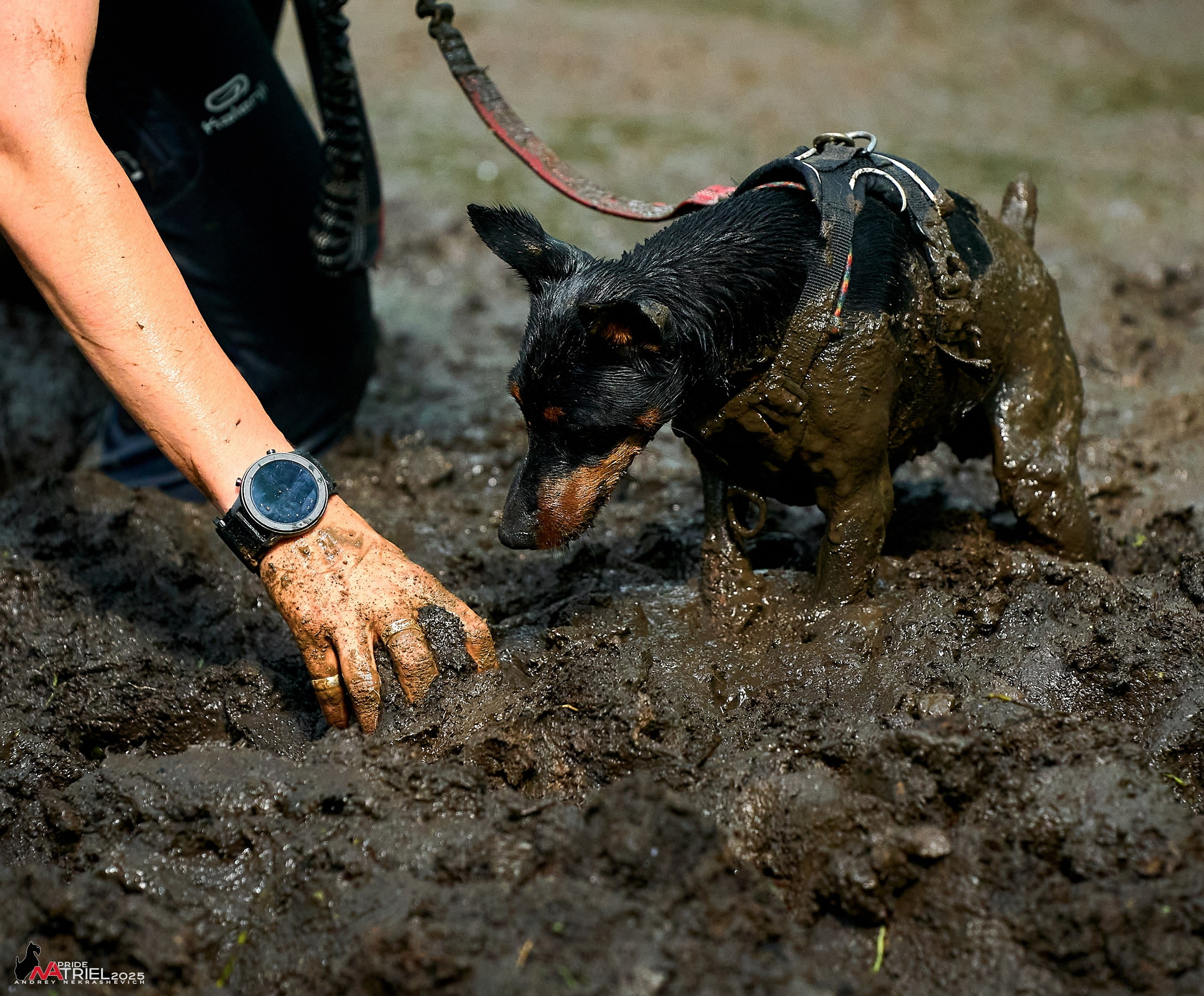 Russian Extreme Dog Trail — 2025