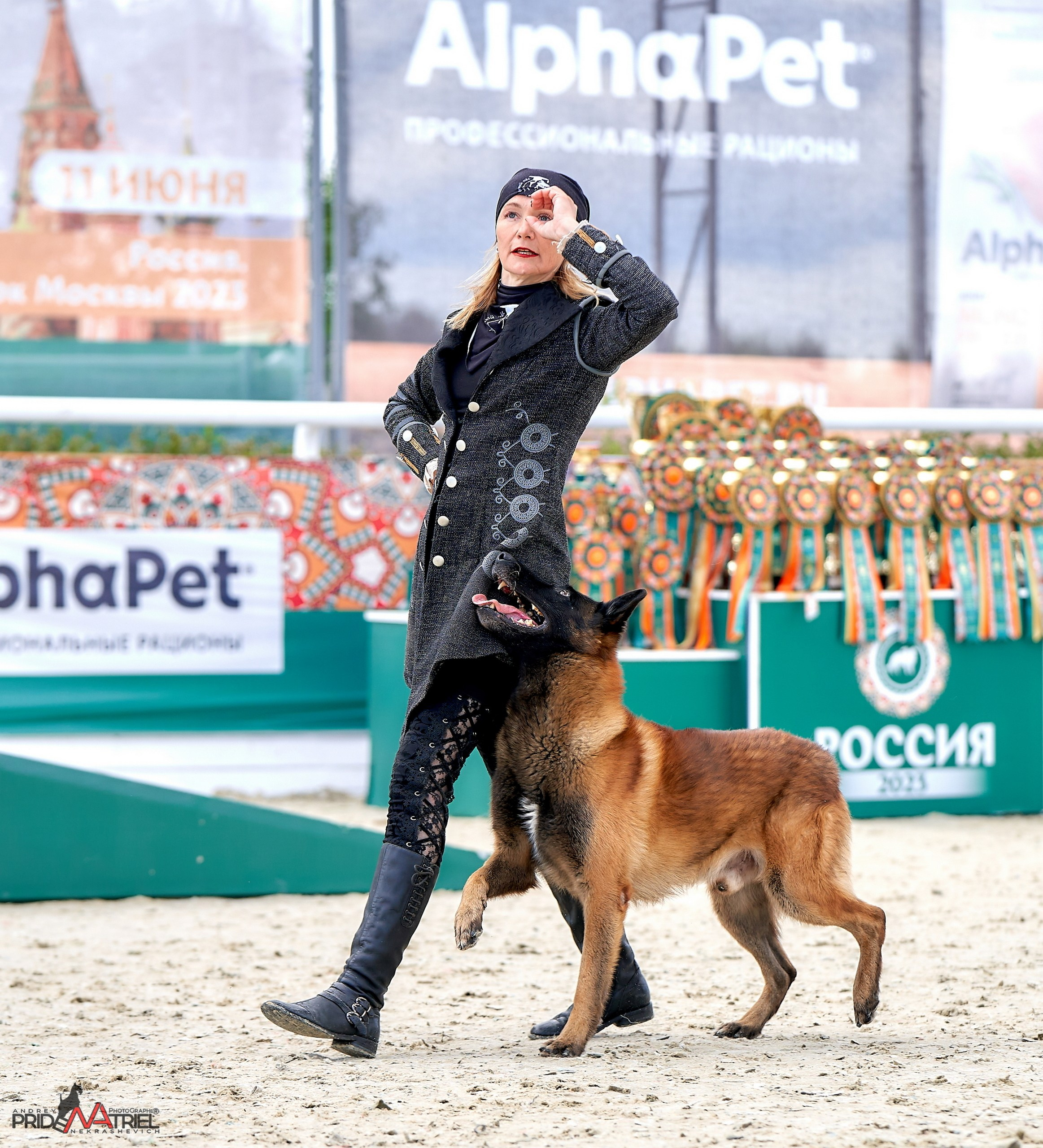 Обидиенс и танцы с собаками — галерея NATRIEL