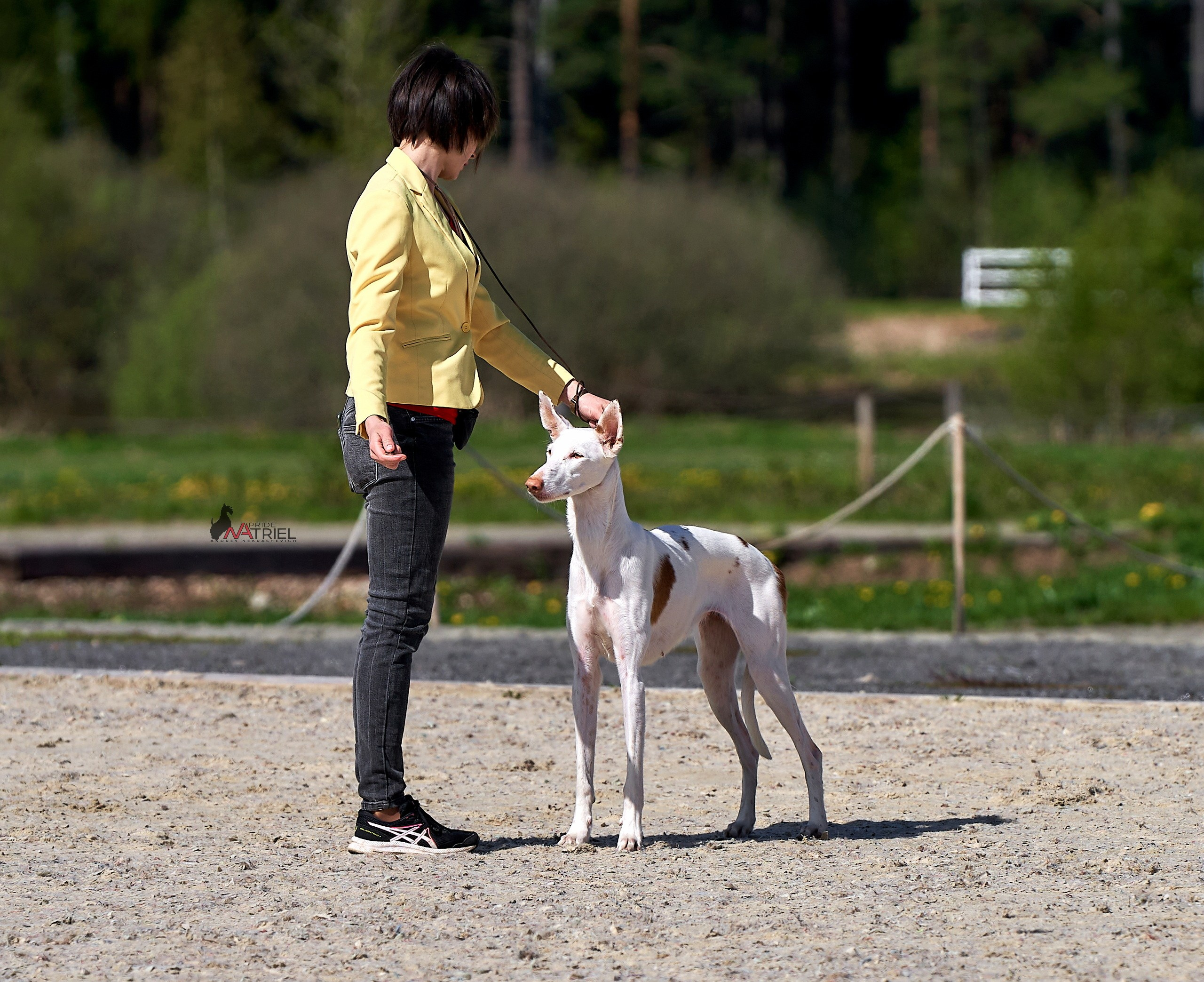 Картинки с выставки — галерея NATRIEL