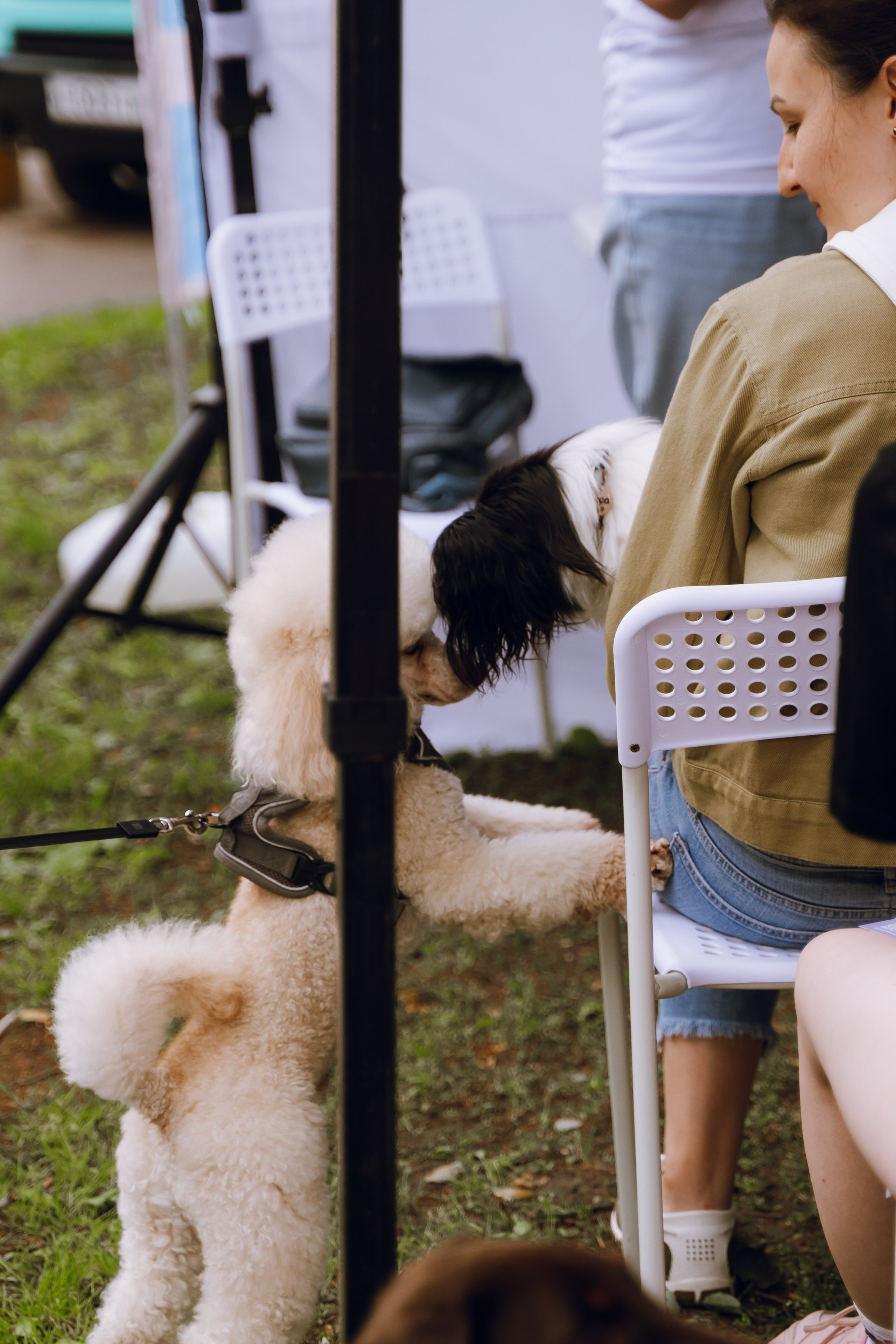 Площадка фестиваля «Мампус и его друзья» в Лесопарке 2025. Фотограф Надежда Погребняк | Рязань | Москва