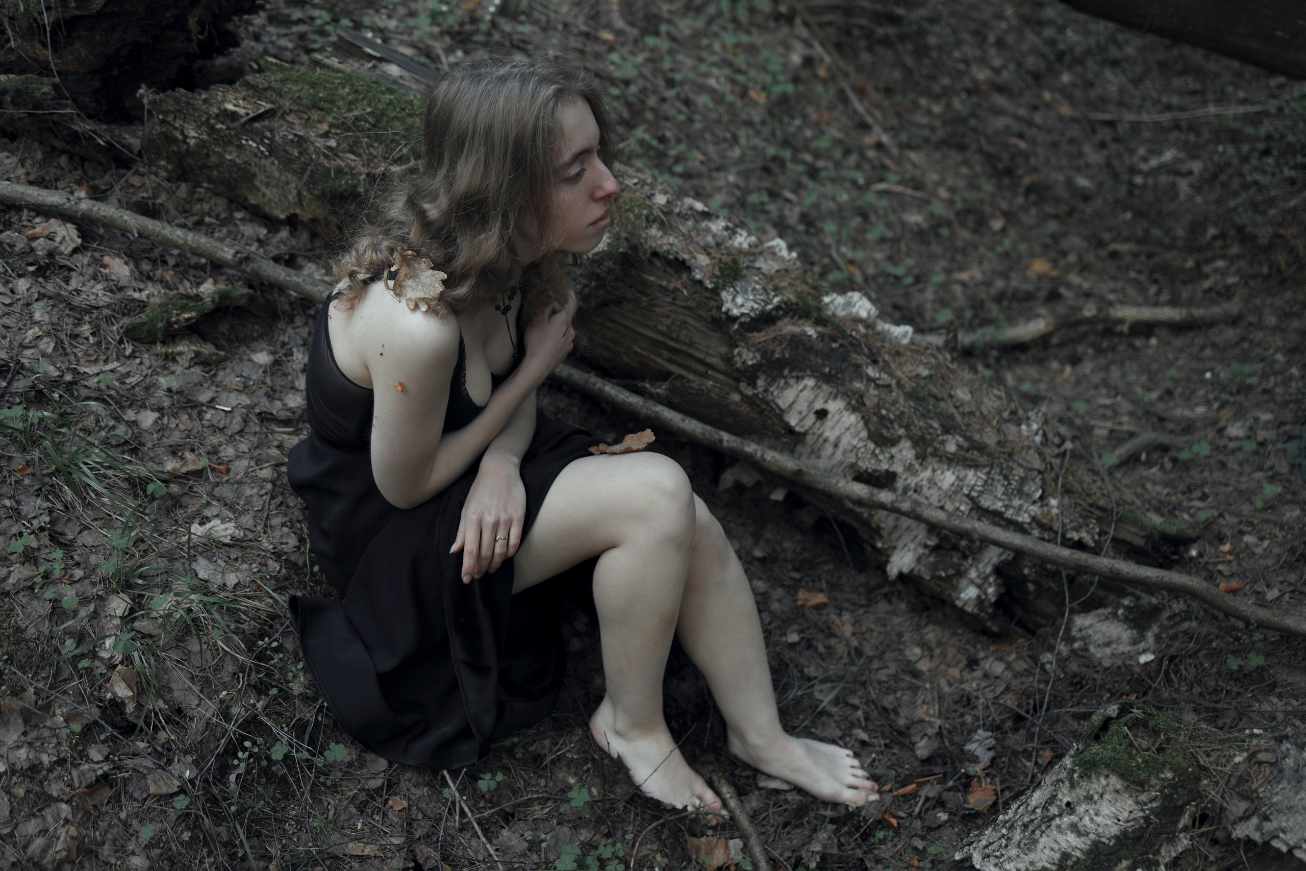 Schutzwald. Арт-фотограф. Coffelisk