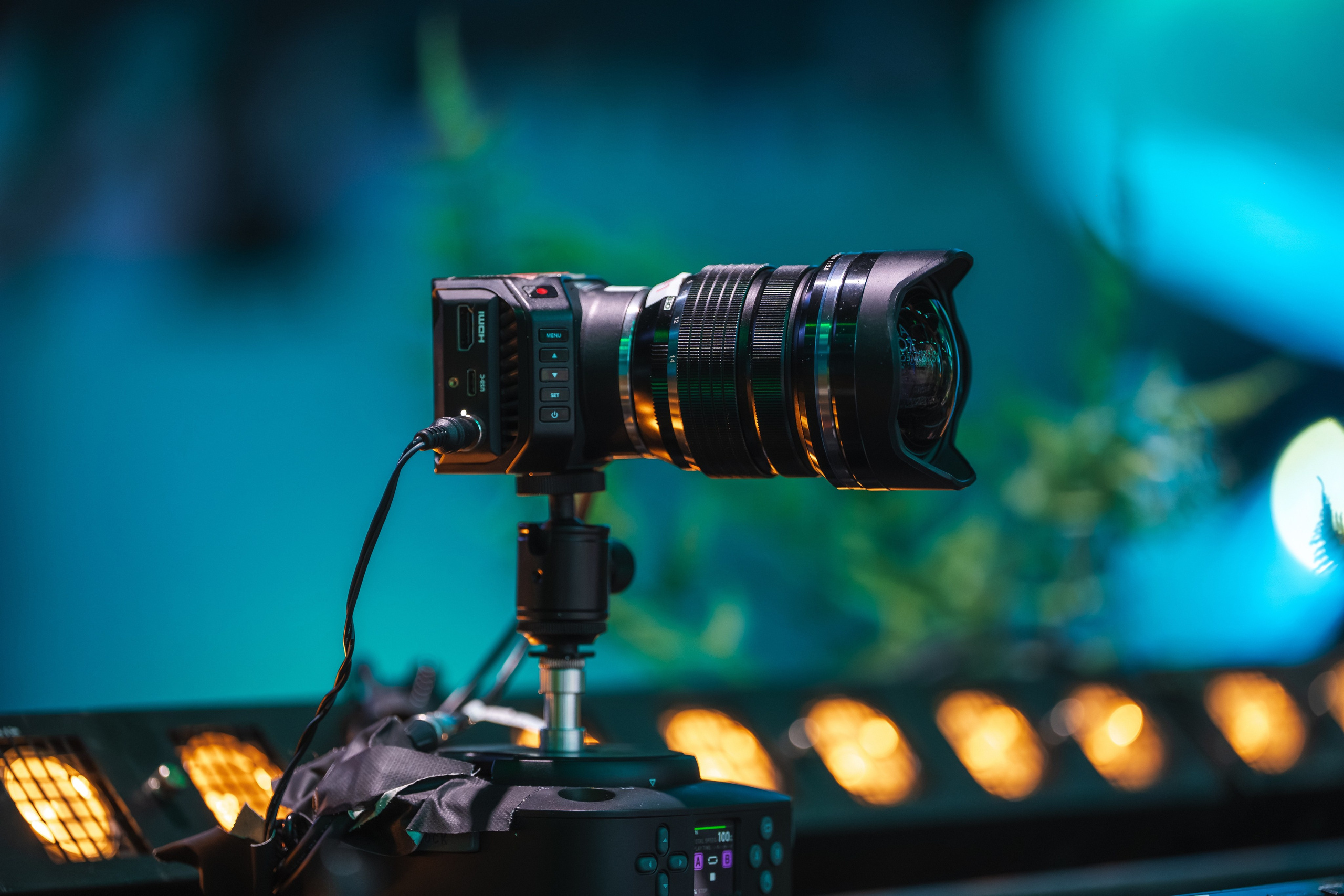 БЕЛАЯ 2025. Святослав Буньков | фотограф