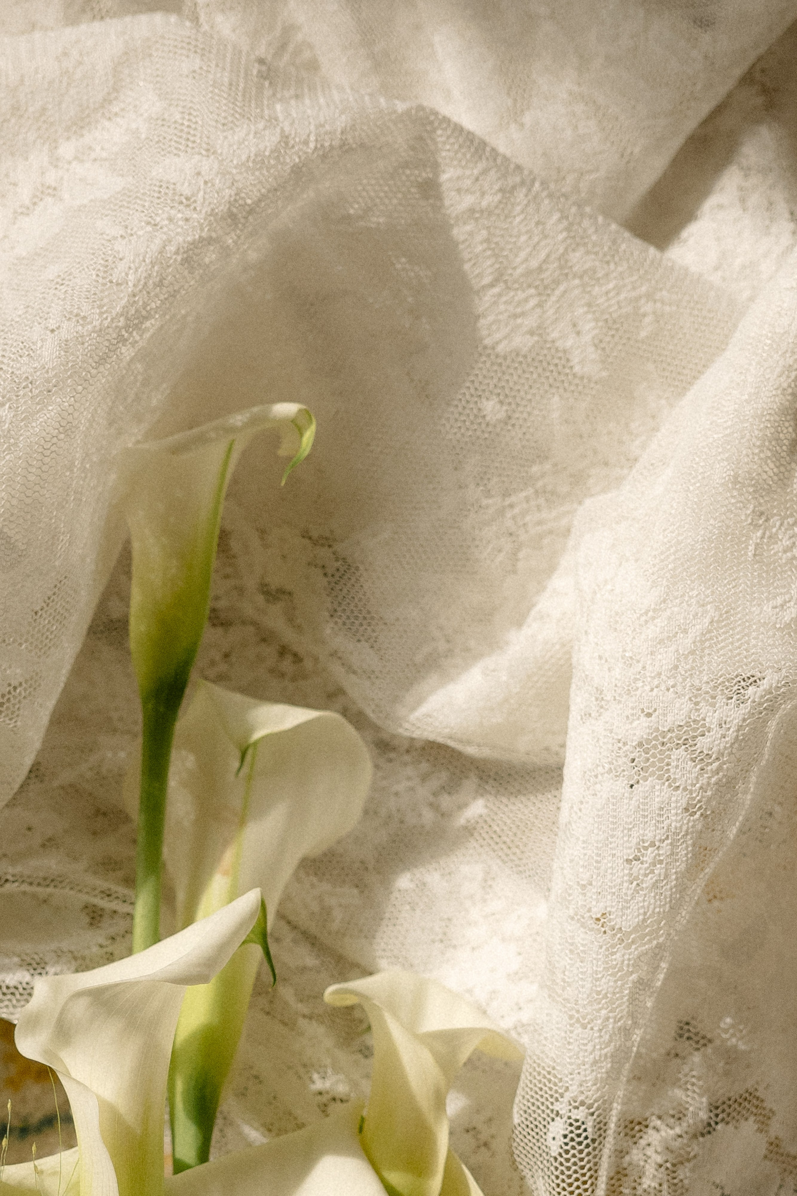 На ярком солнце. Свадебный фотограф Таня Караисаева