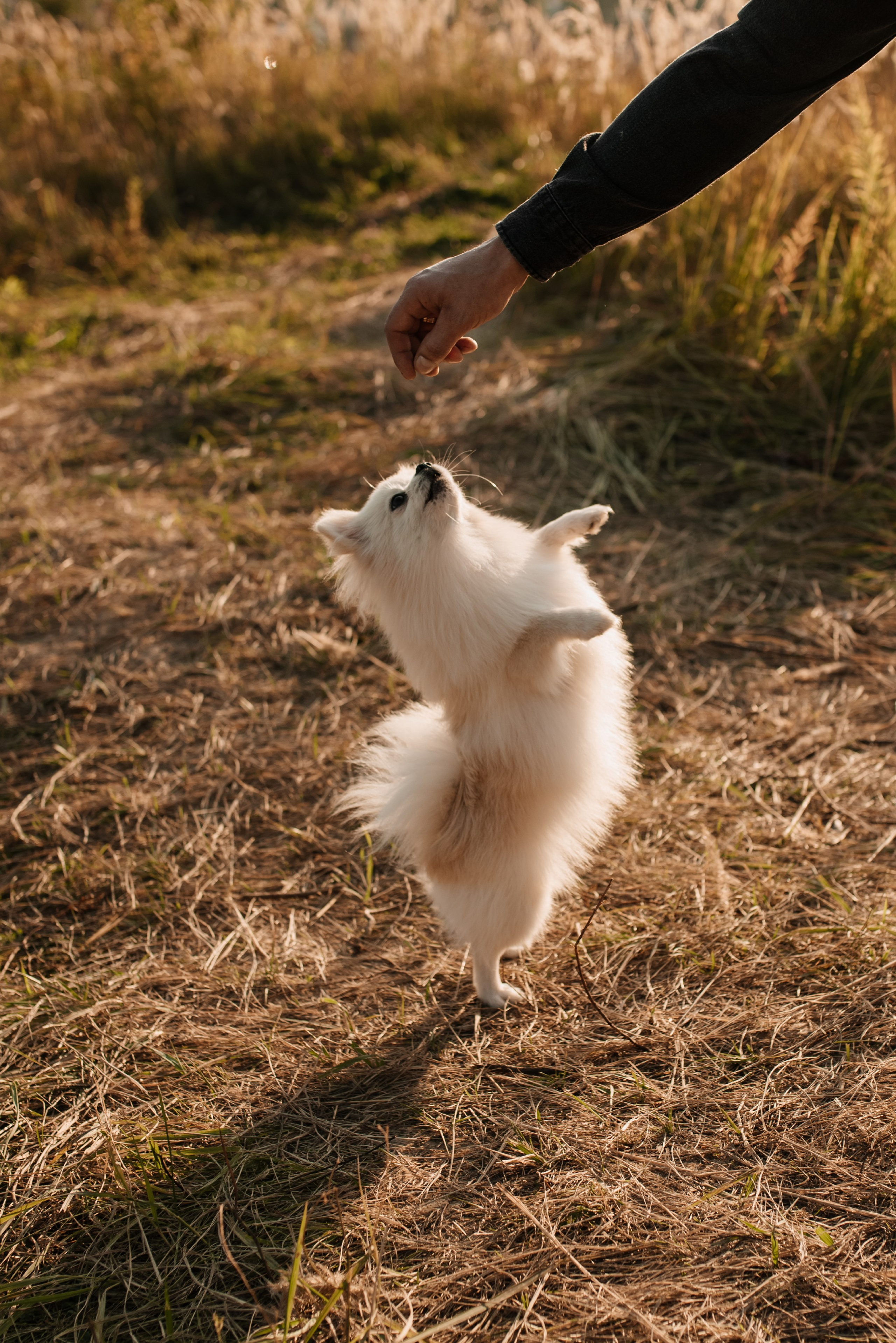 Наташа ♡ Женя. Фотограф Ольга Плеханова | Нижний Новгород, Москва