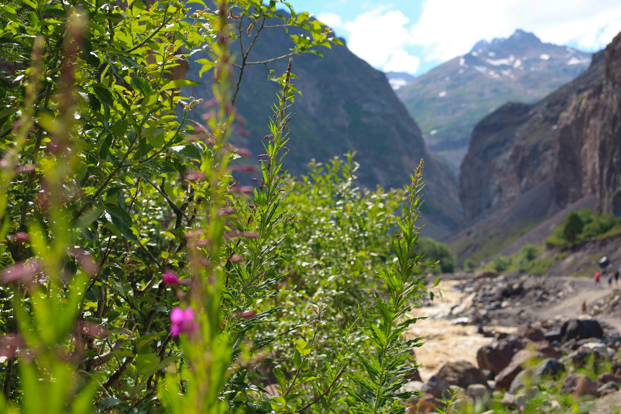 Приэльбрусье 22 — 23 июля 2023. Фотограф katya_vkadre Таганрог