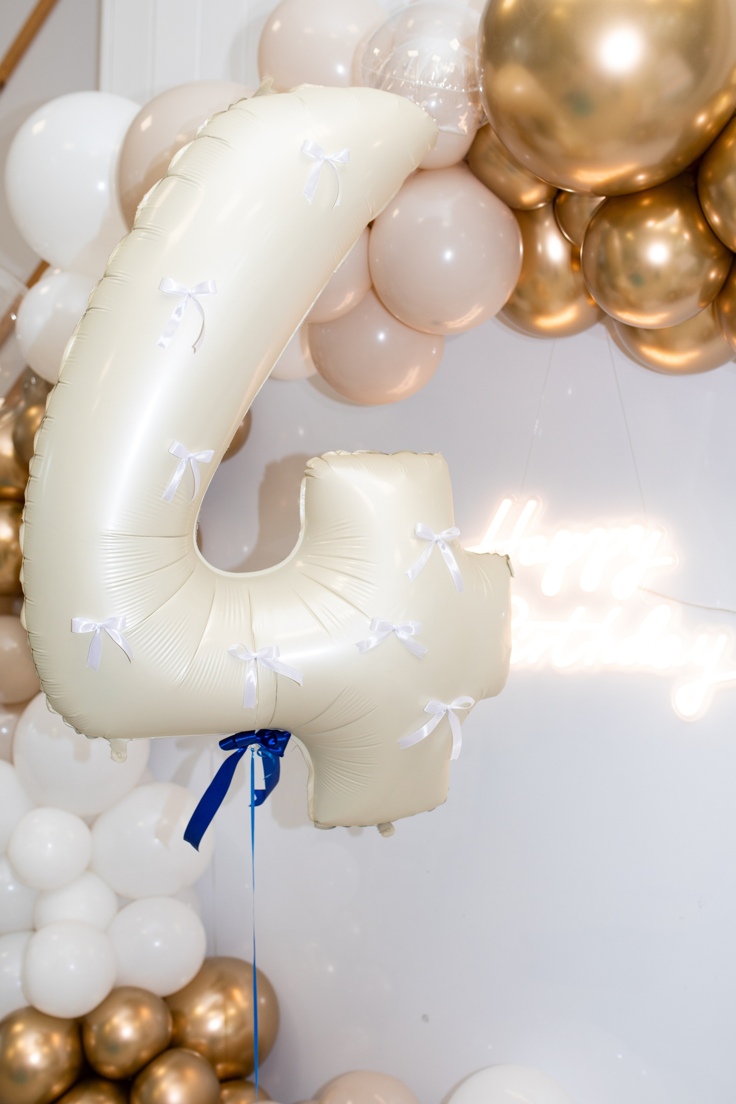 Доммик -Эльза. Фотограф в Новосибирске Ася Зверева