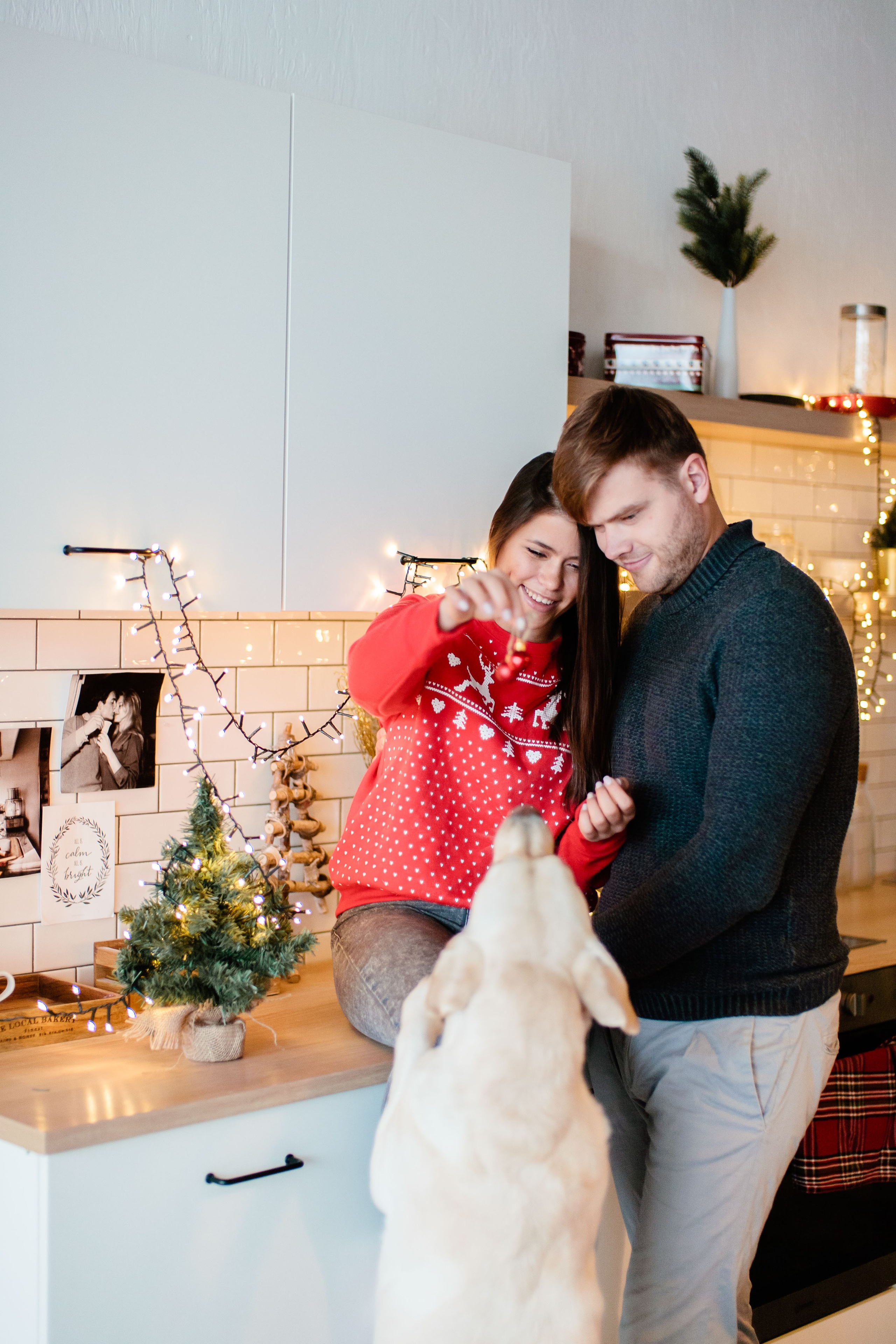 Семейная Новогодняя фотосессия в студии, фотограф в Москве