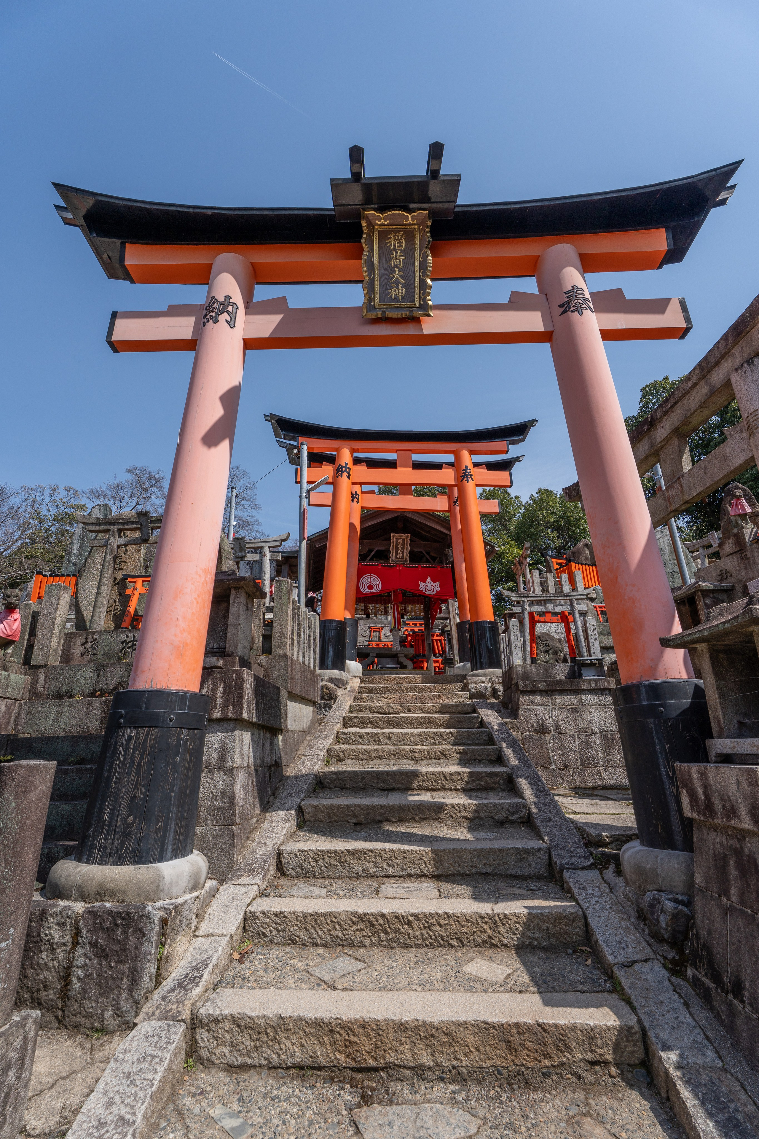 Япония, сакура. Творческие сьемки