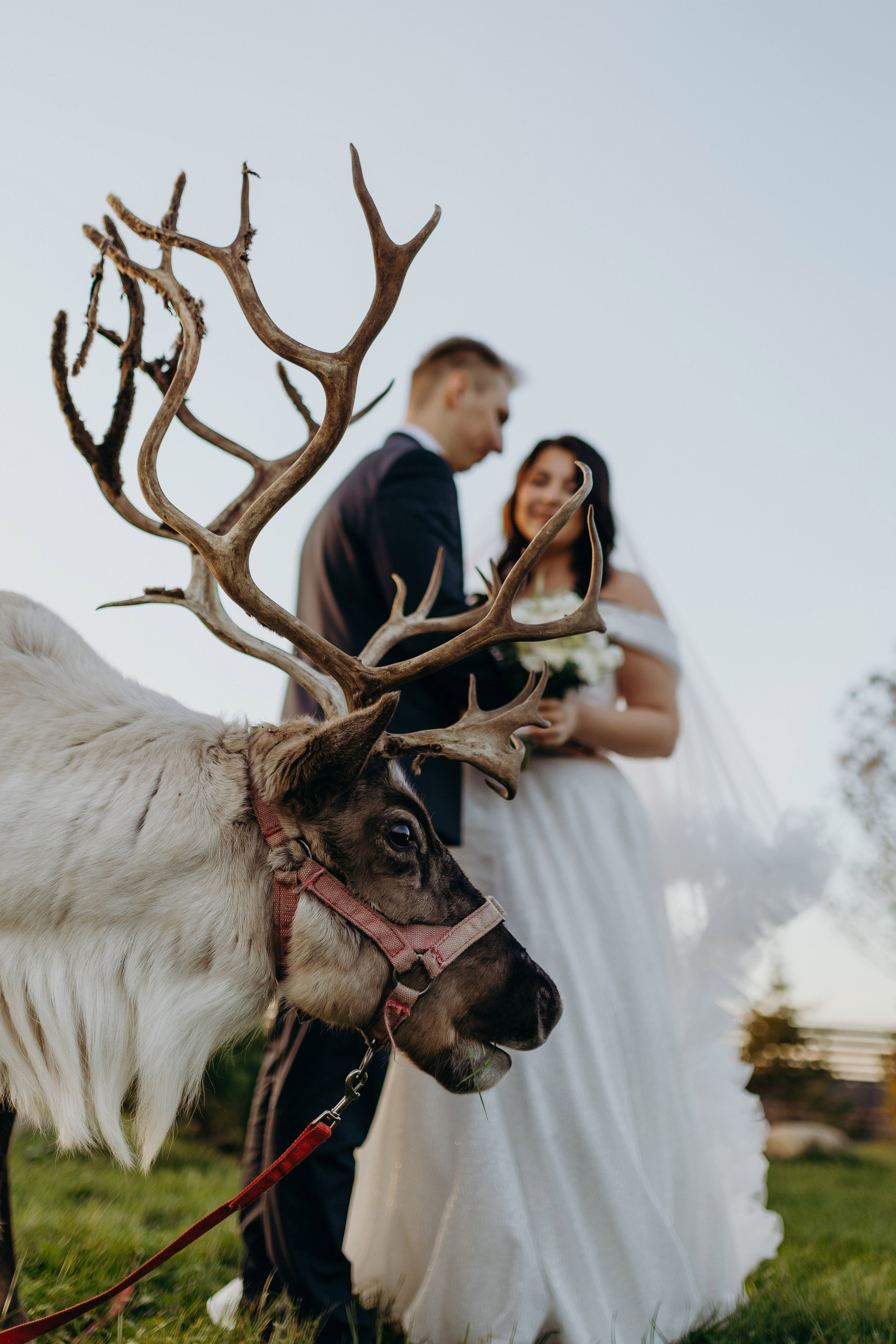 Wedding day 19.10.24. Свадебный фотограф в Санкт-Петербурге