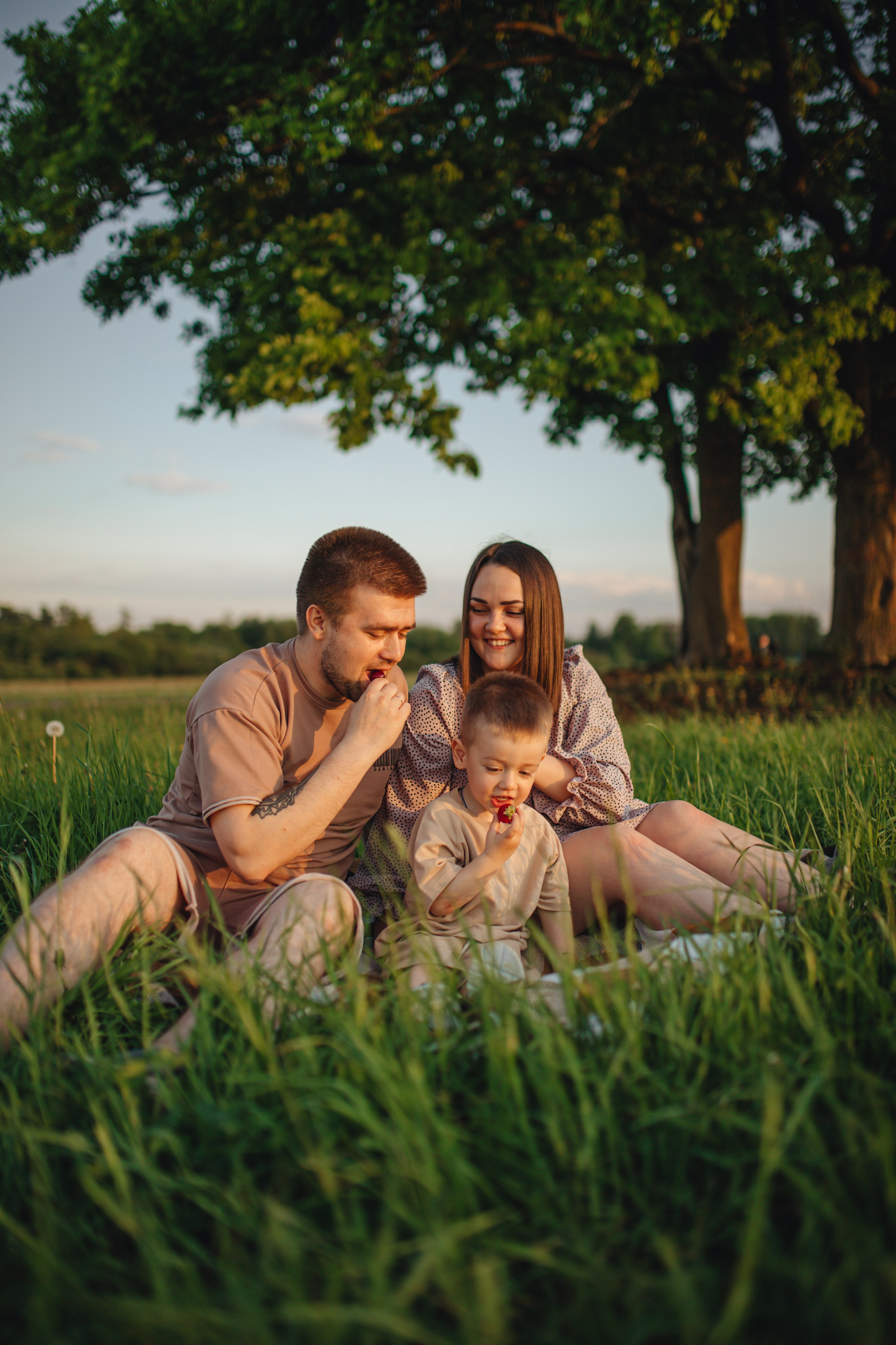 В поле на закате. Фотограф Винокурова Кристина в Санкт-Петербурге