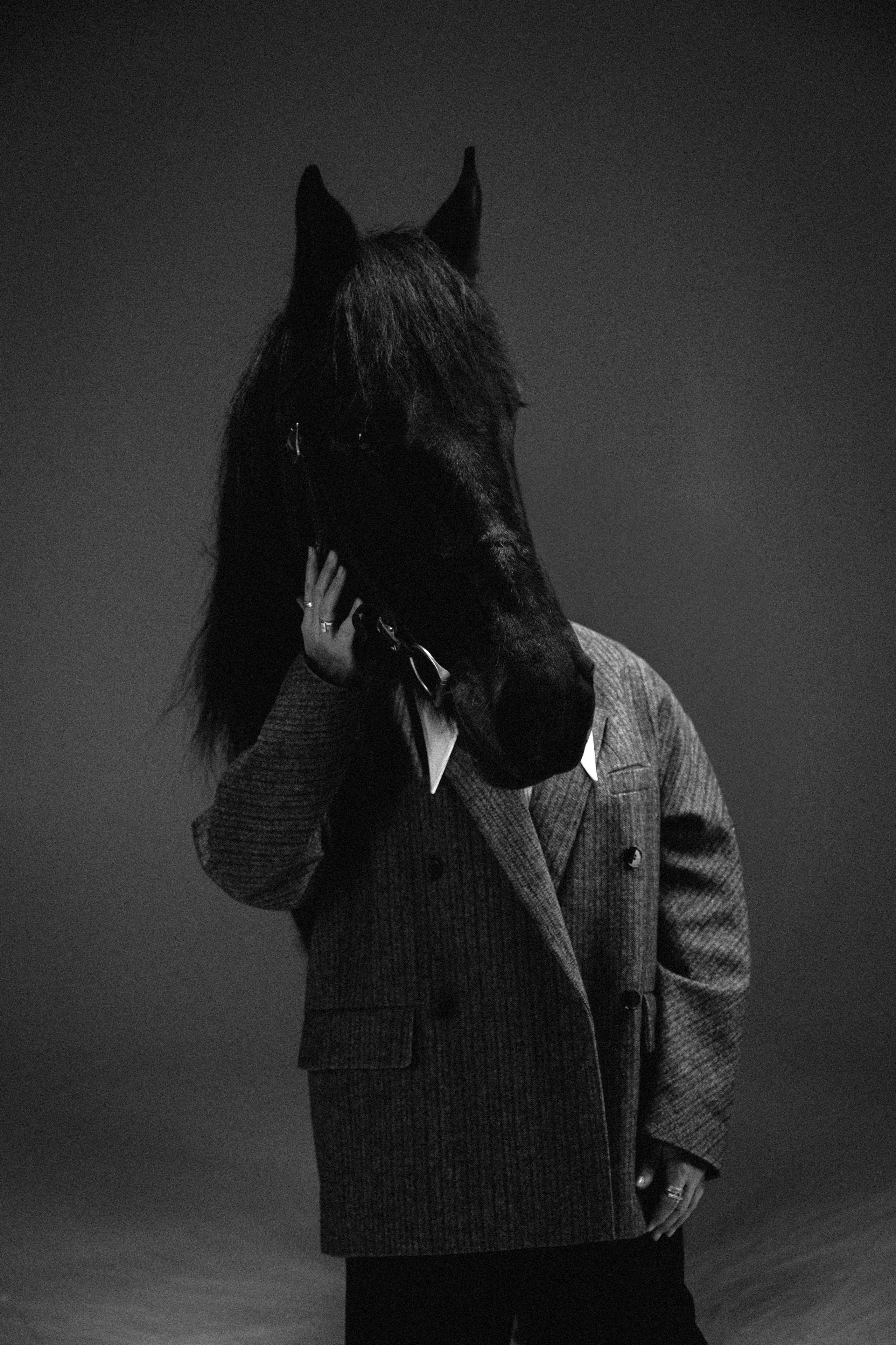 Фотодень к конем. Фотограф в Санкт-Петербурге Кристина Ильинская