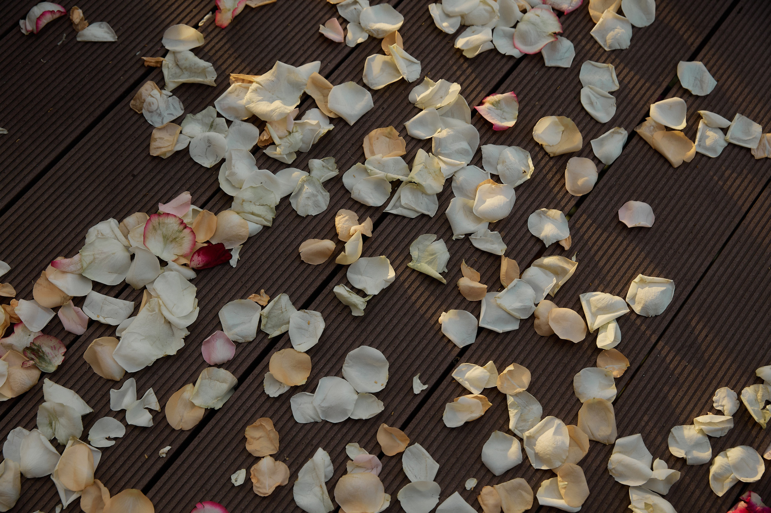 Алина и Владимир. Свадебный фотограф Москва Калуга