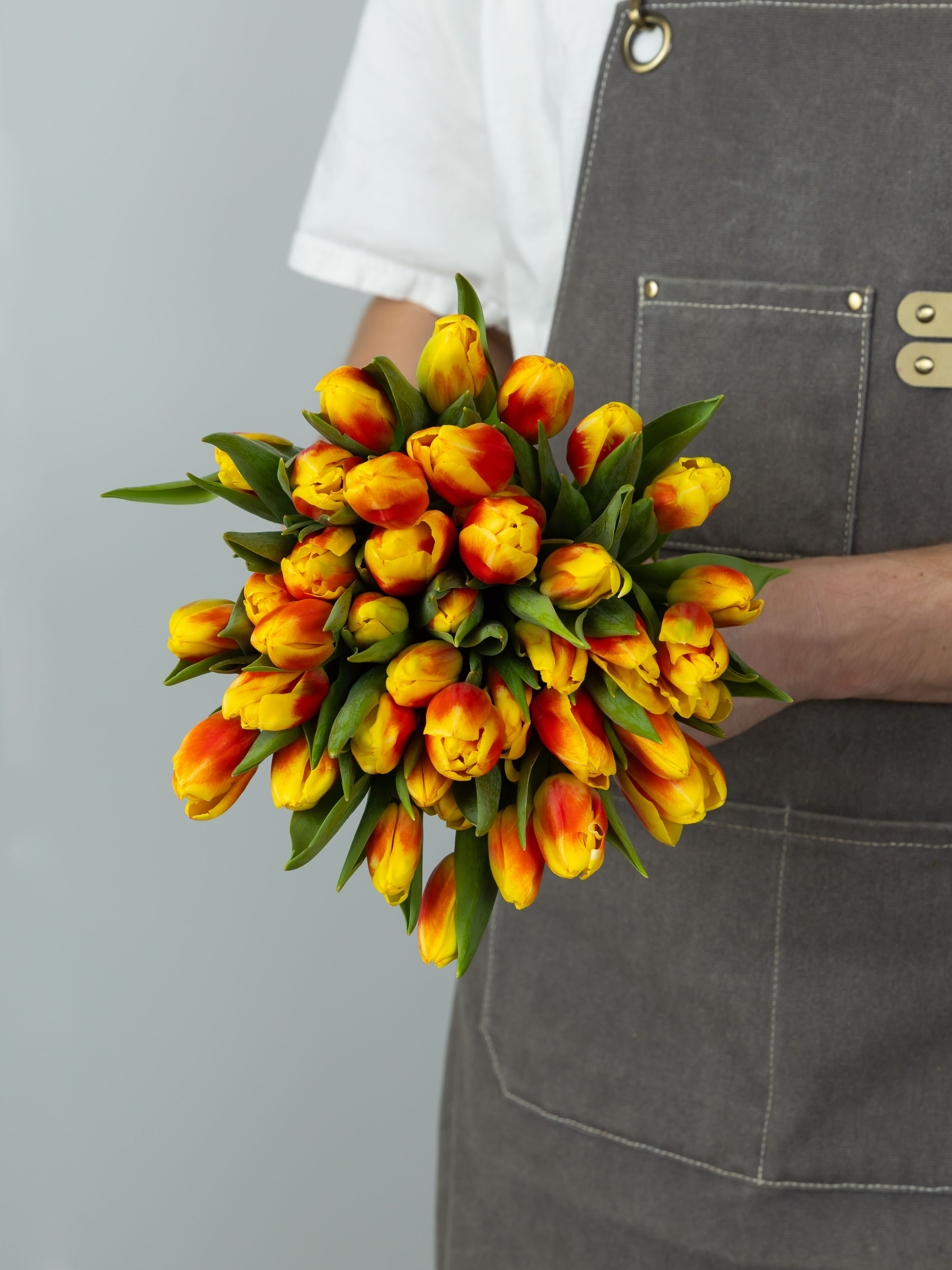26.02.2026 Цветополис. ФОТОГРАФ ВИНОГРАДОВА ДАРЬЯ