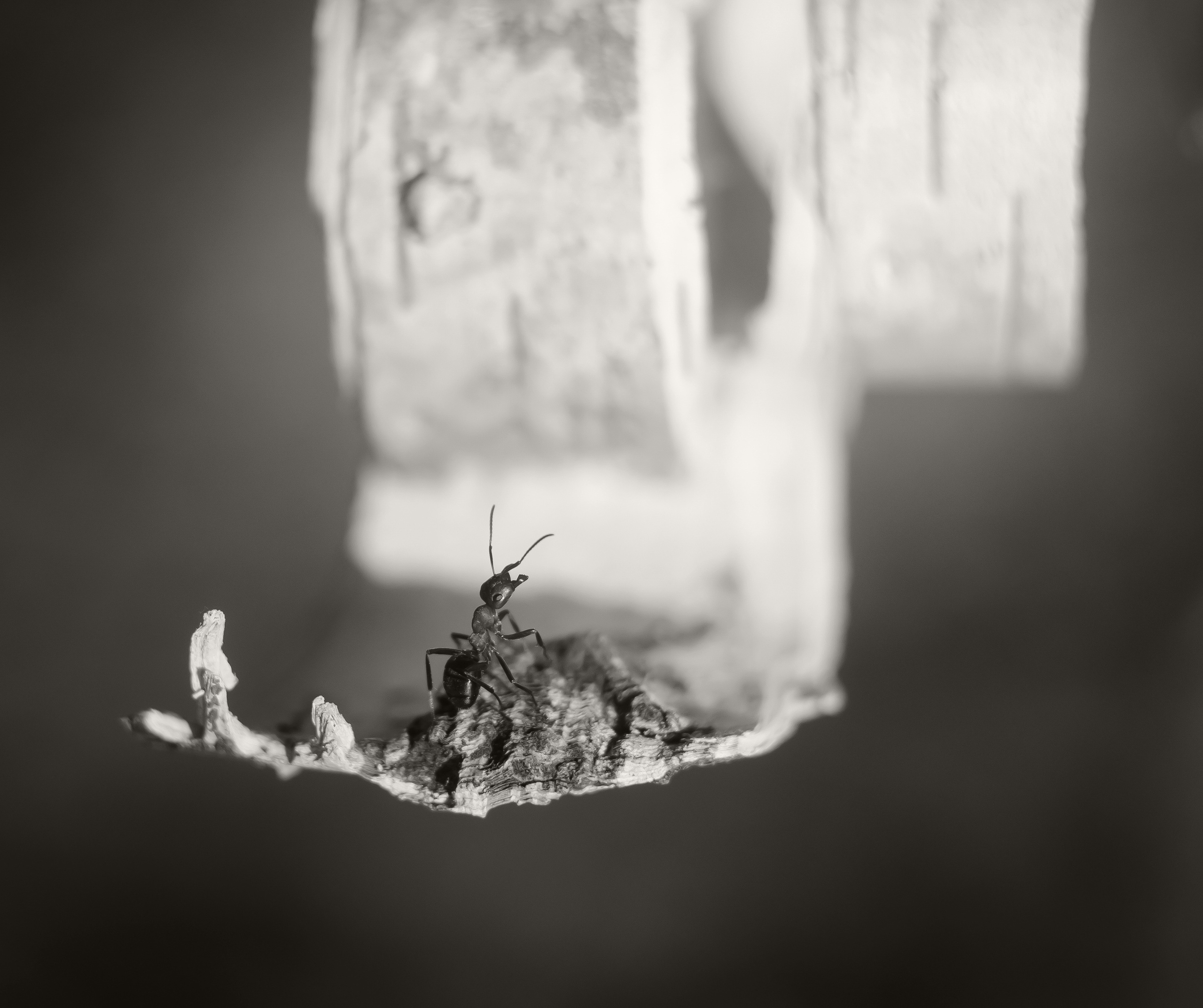 Природа. Фотограф Таинства Крещения в Саратове Ильченко Артем