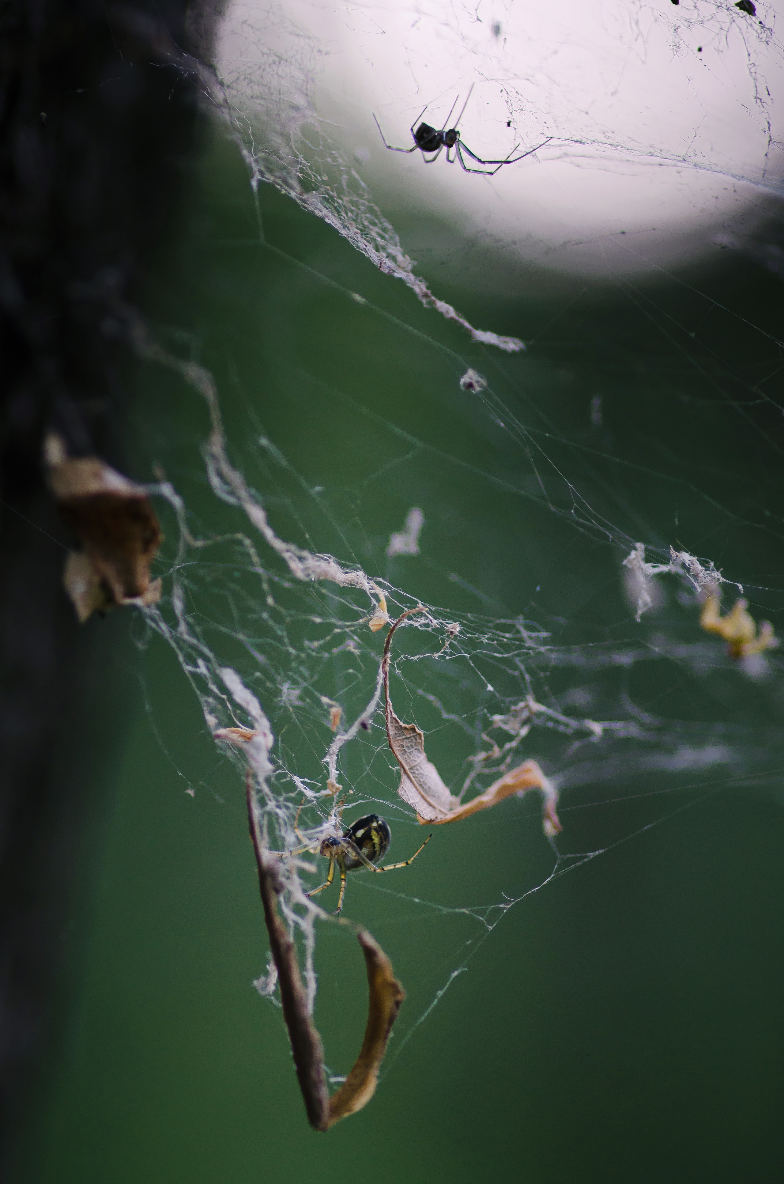 Природа. Фотограф Таинства Крещения в Саратове Ильченко Артем