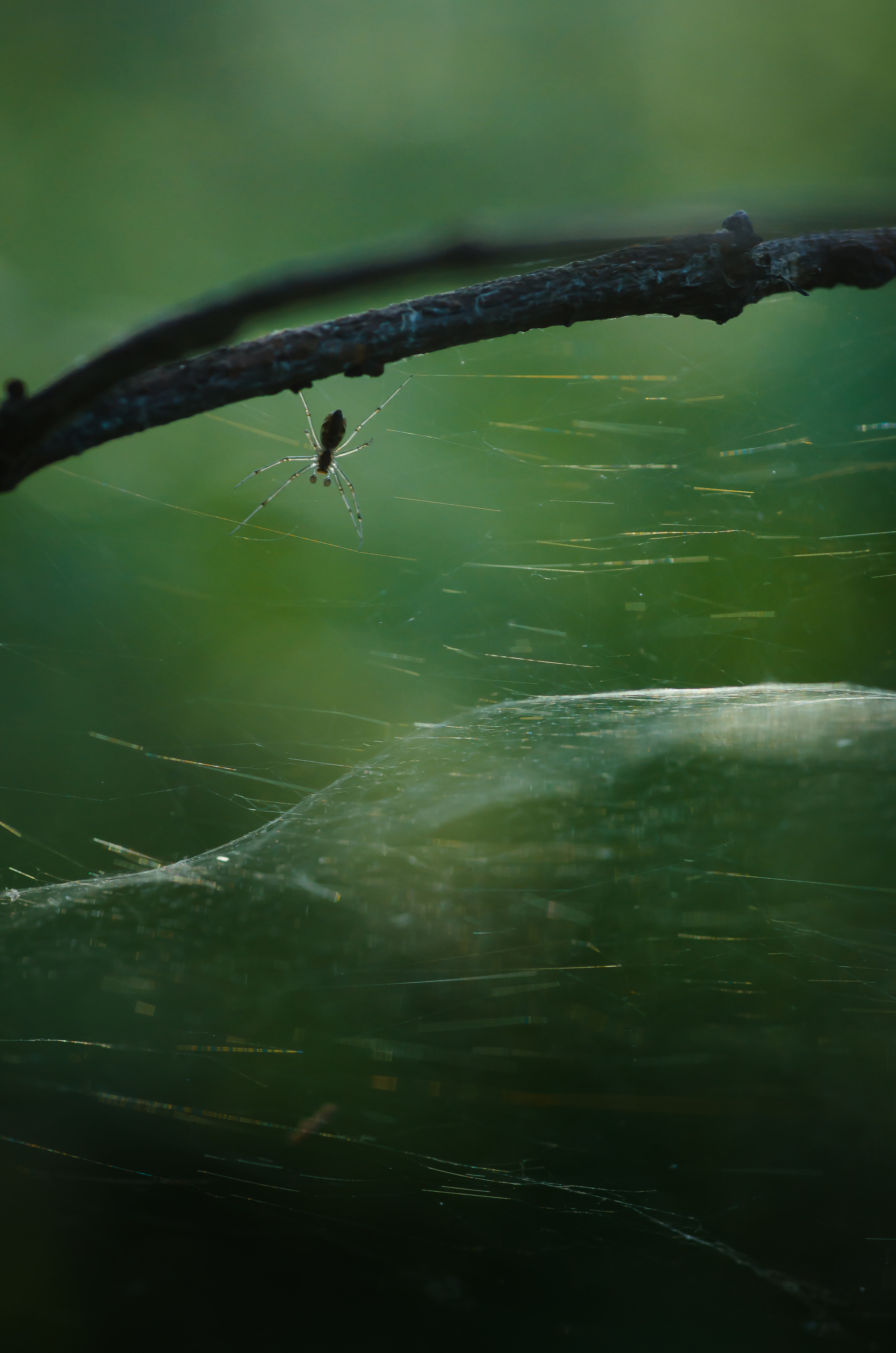 Природа. Фотограф Таинства Крещения в Саратове Ильченко Артем