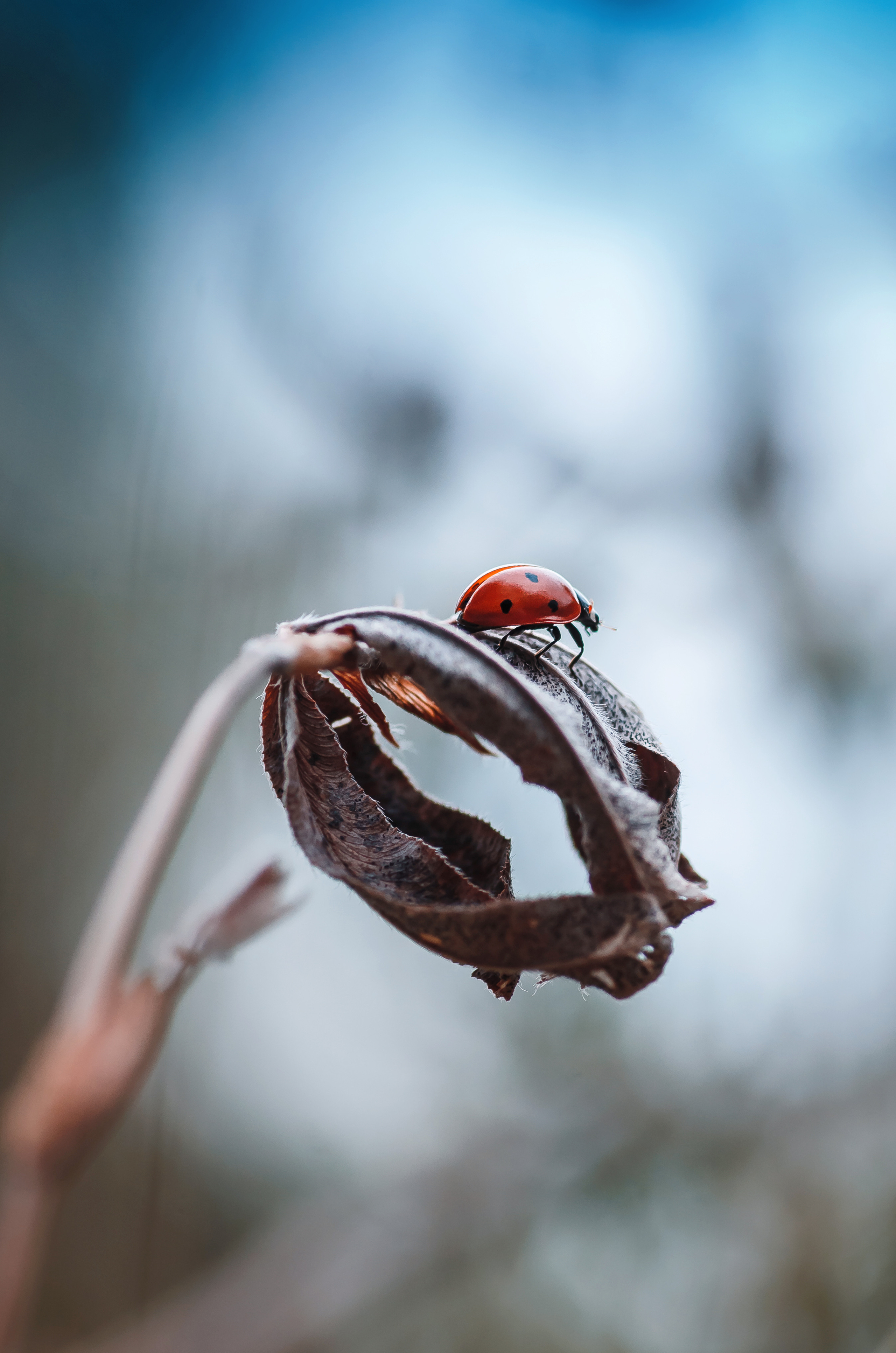 Природа. Фотограф Таинства Крещения в Саратове Ильченко Артем