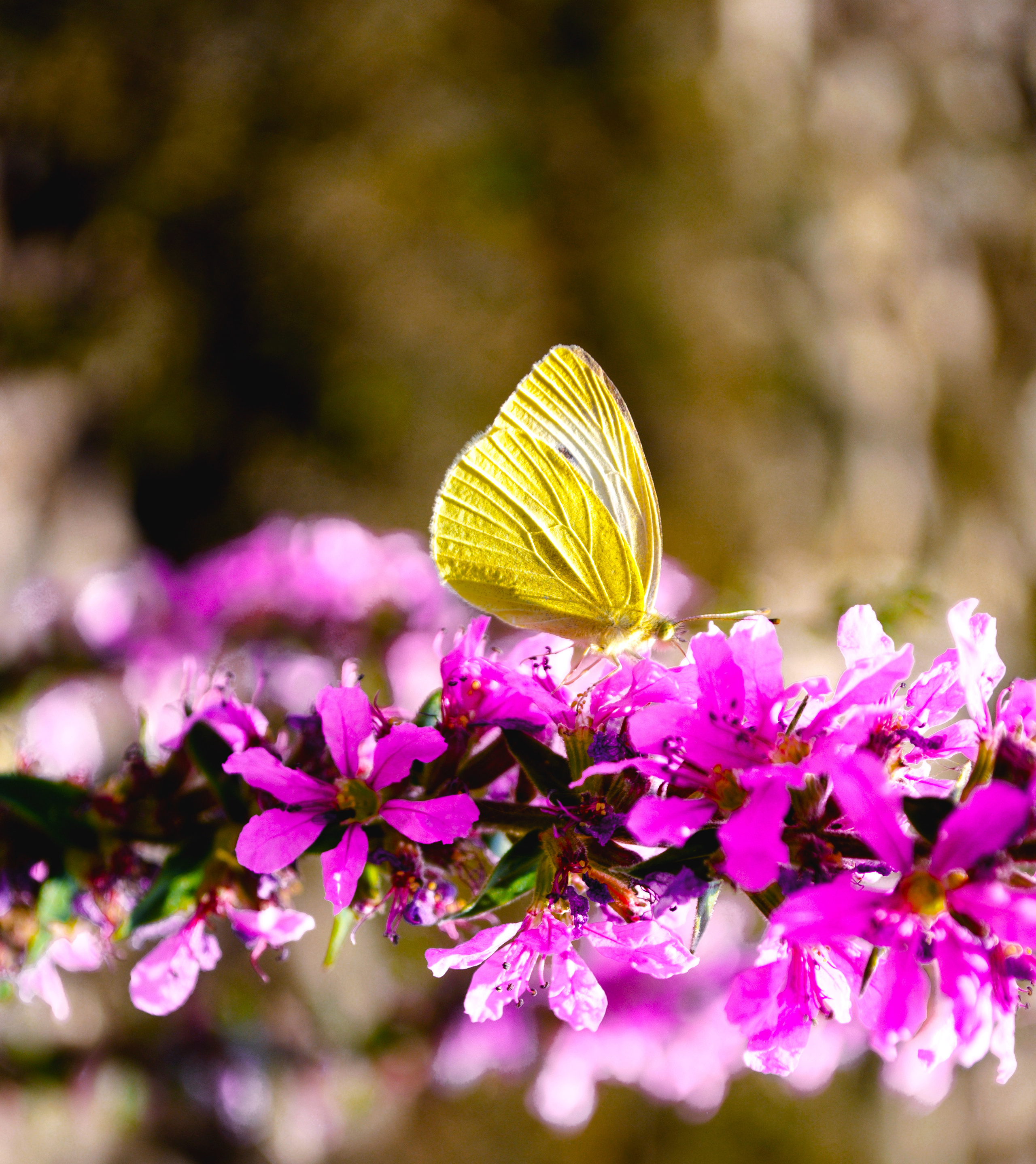 Природа. Фотограф Таинства Крещения в Саратове Ильченко Артем