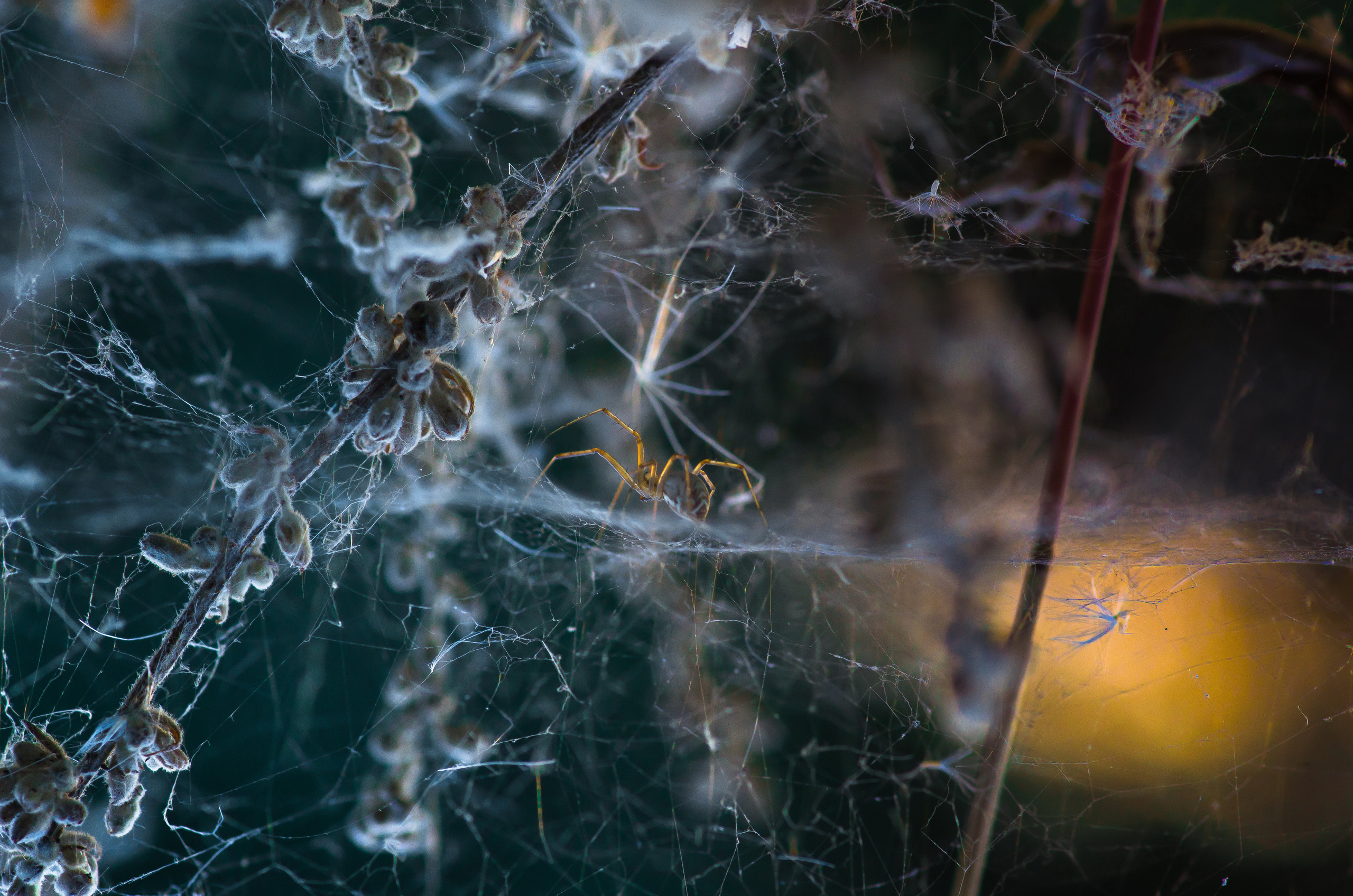 Природа. Фотограф Таинства Крещения в Саратове Ильченко Артем