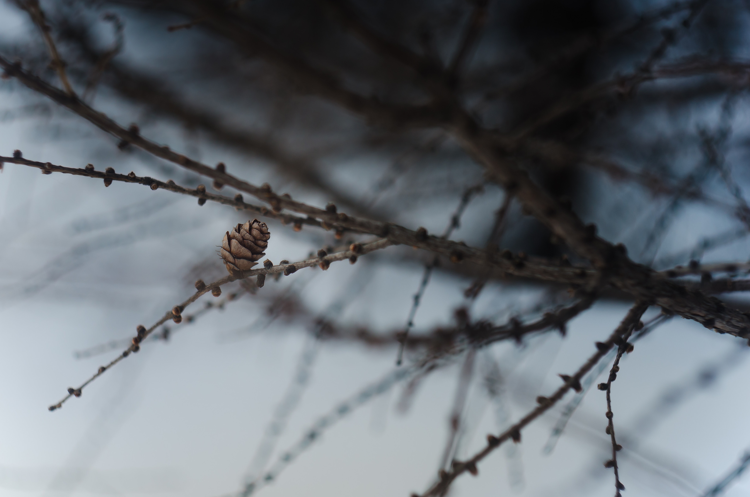 Природа. Фотограф Таинства Крещения в Саратове Ильченко Артем