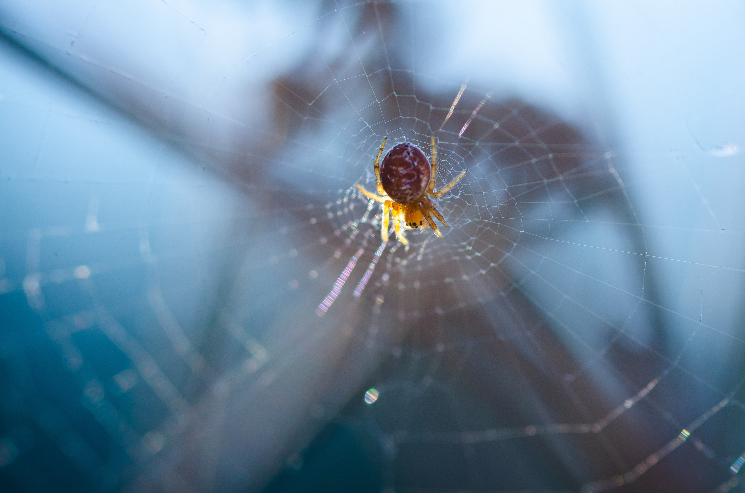 Природа. Фотограф Таинства Крещения в Саратове Ильченко Артем