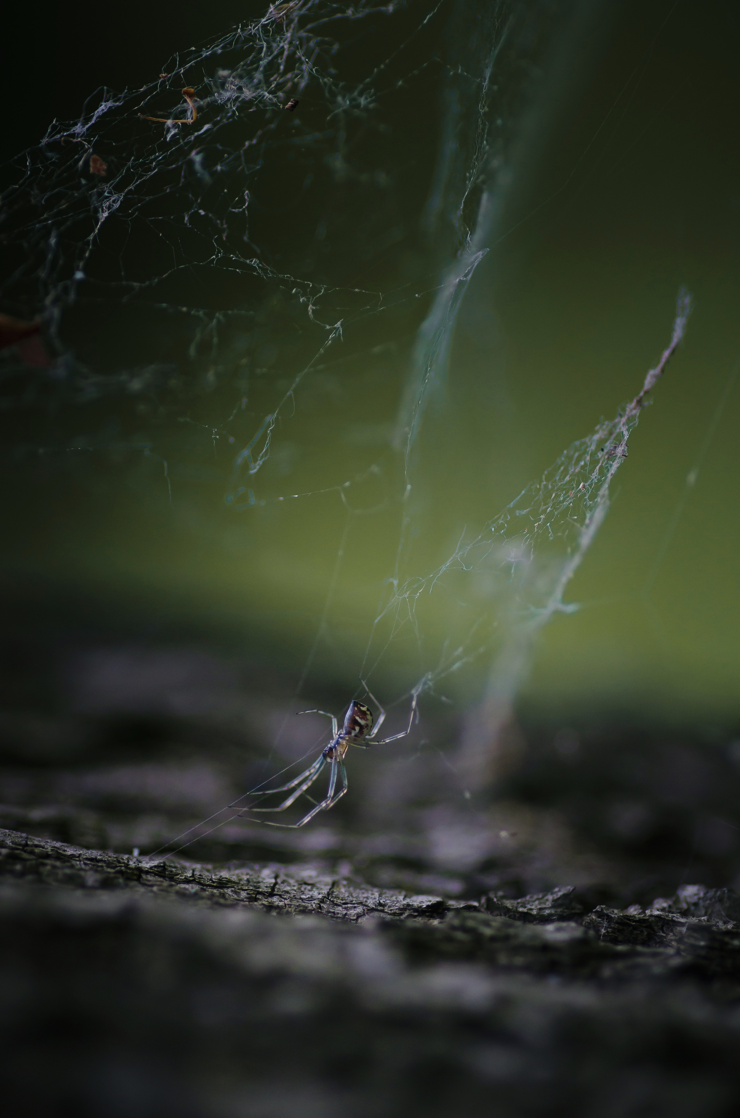 Природа. Фотограф Таинства Крещения в Саратове Ильченко Артем