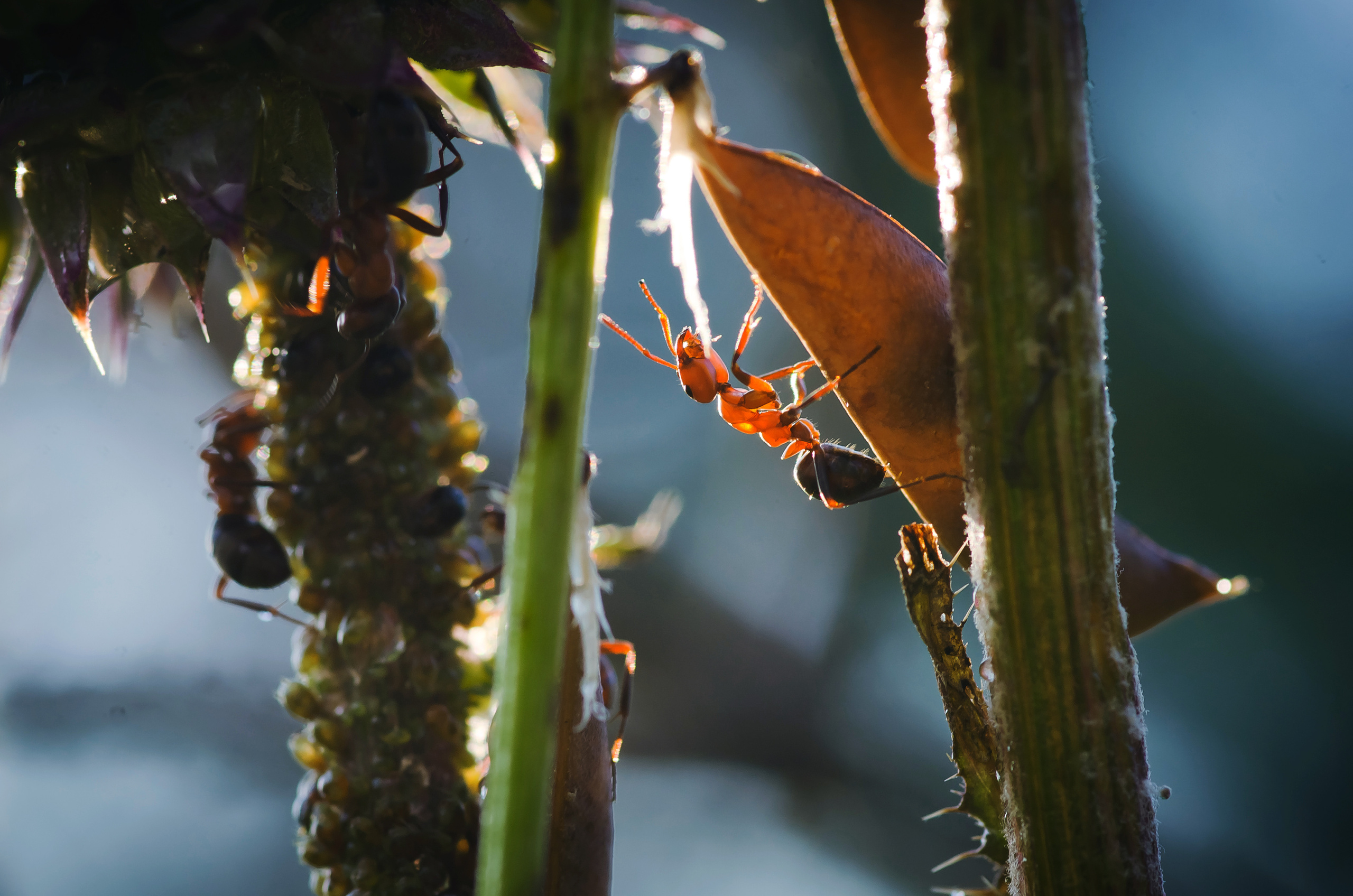 Природа. Фотограф Таинства Крещения в Саратове Ильченко Артем