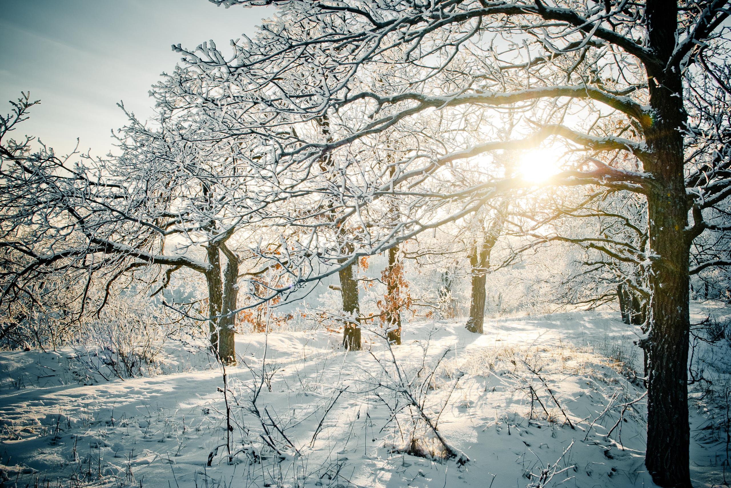 Природа. Фотограф Таинства Крещения в Саратове Ильченко Артем