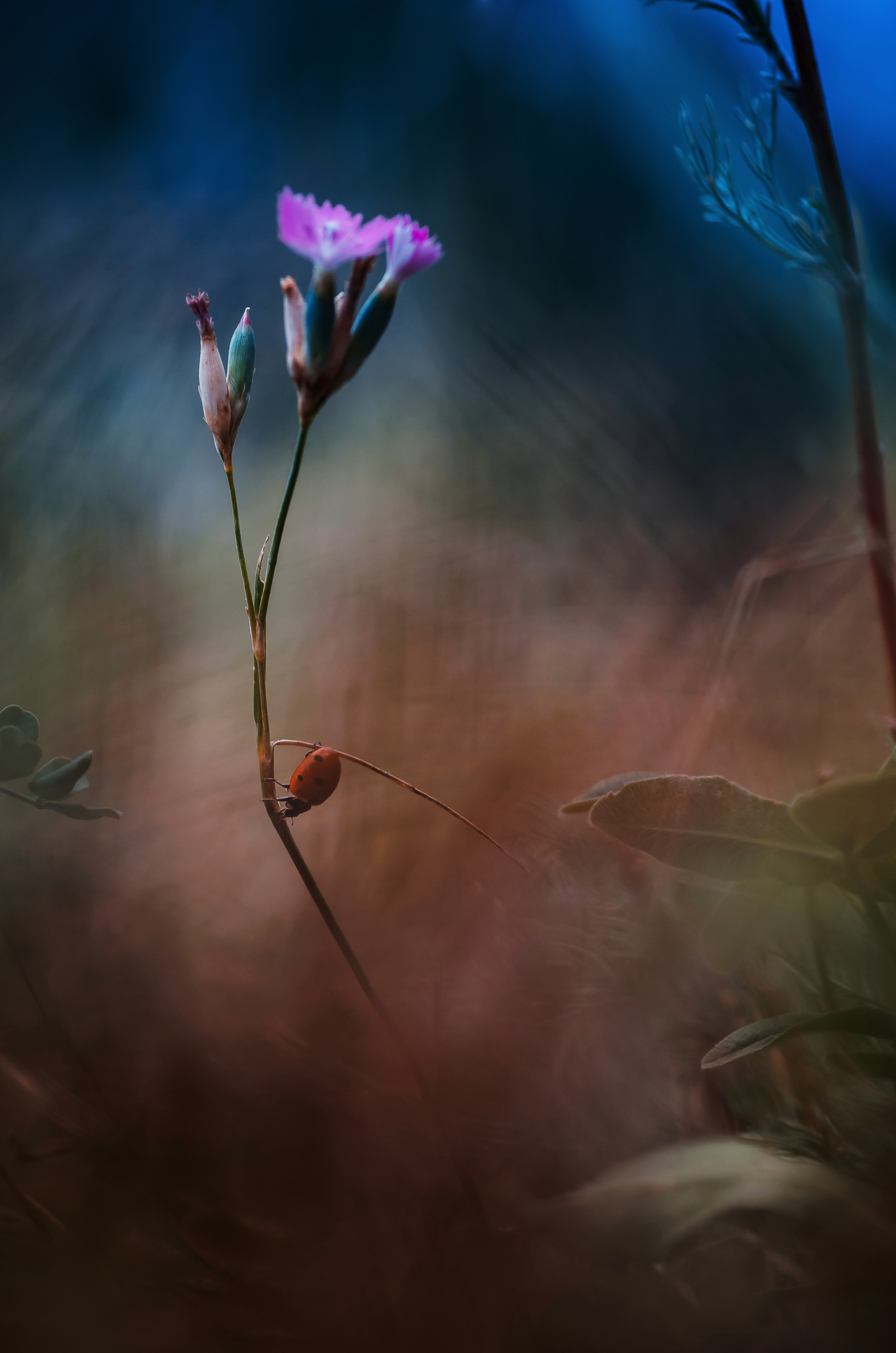 Природа. Фотограф Таинства Крещения в Саратове Ильченко Артем