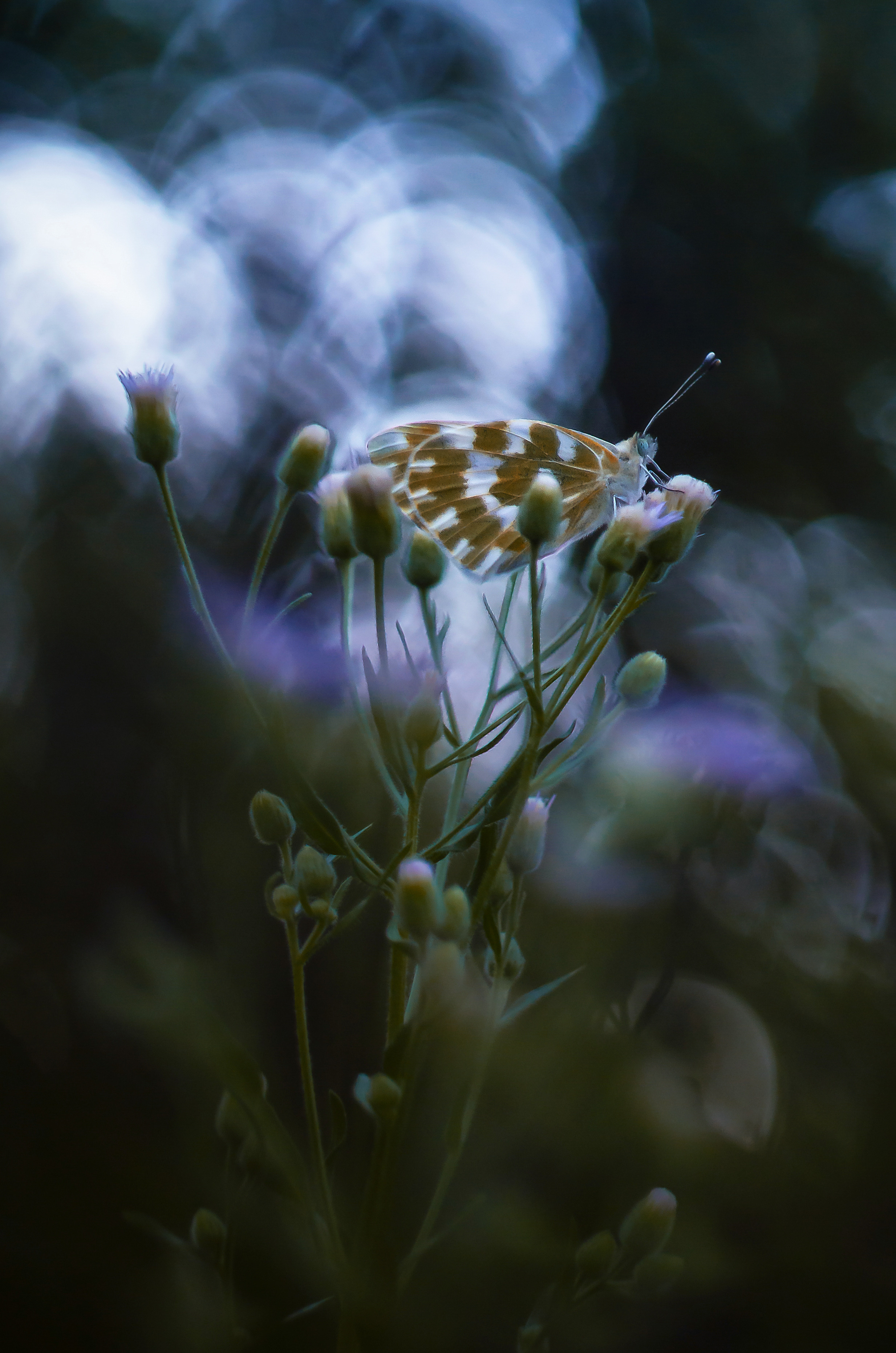 Природа. Фотограф Таинства Крещения в Саратове Ильченко Артем