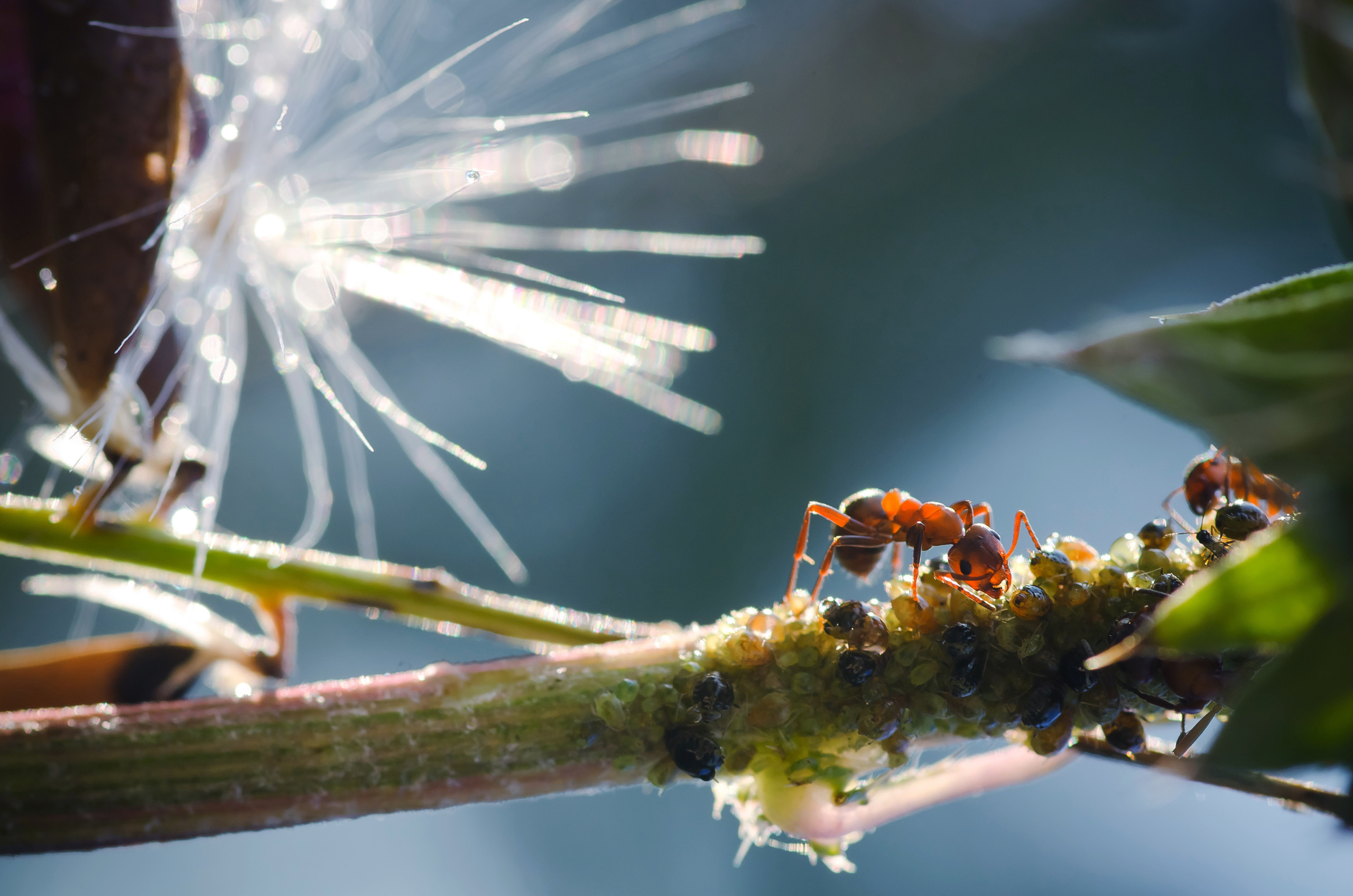 Природа. Фотограф Таинства Крещения в Саратове Ильченко Артем