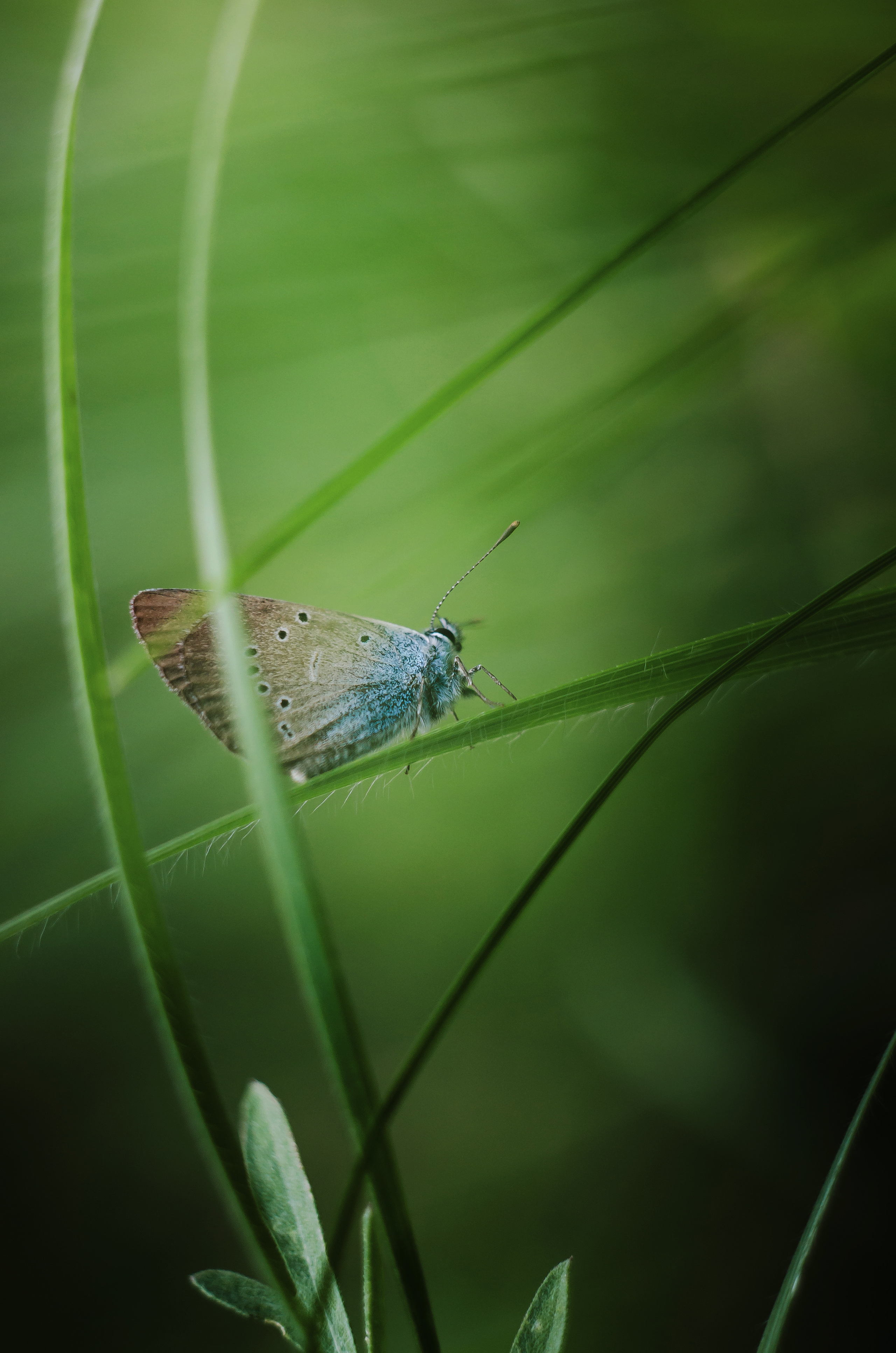 Природа. Фотограф Таинства Крещения в Саратове Ильченко Артем
