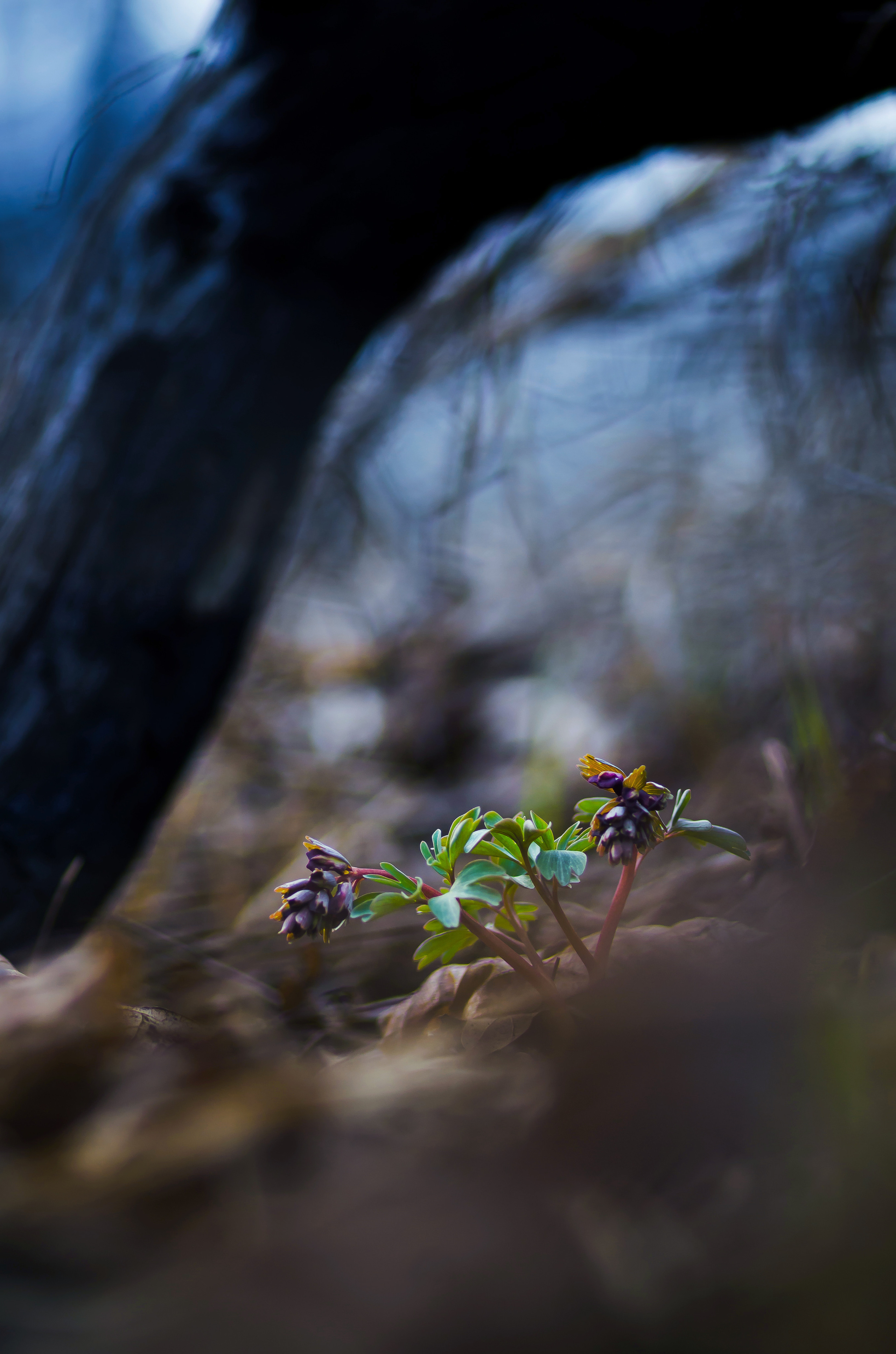 Природа. Фотограф Таинства Крещения в Саратове Ильченко Артем